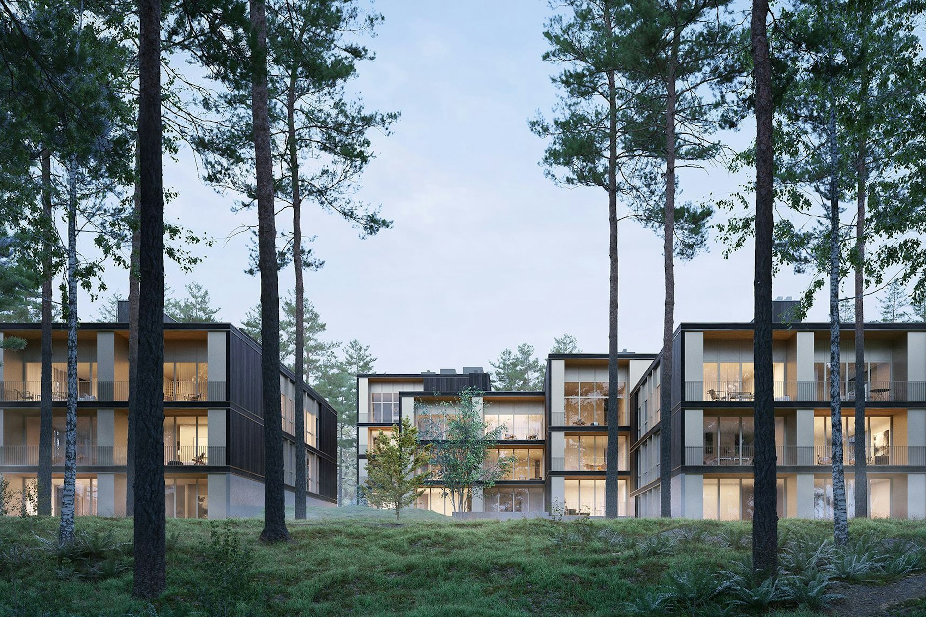 Fast wie natürlich reingewachsen: Die holzvertäfelten Kuben fügen sich schön in den privaten Kiefernwald ein.