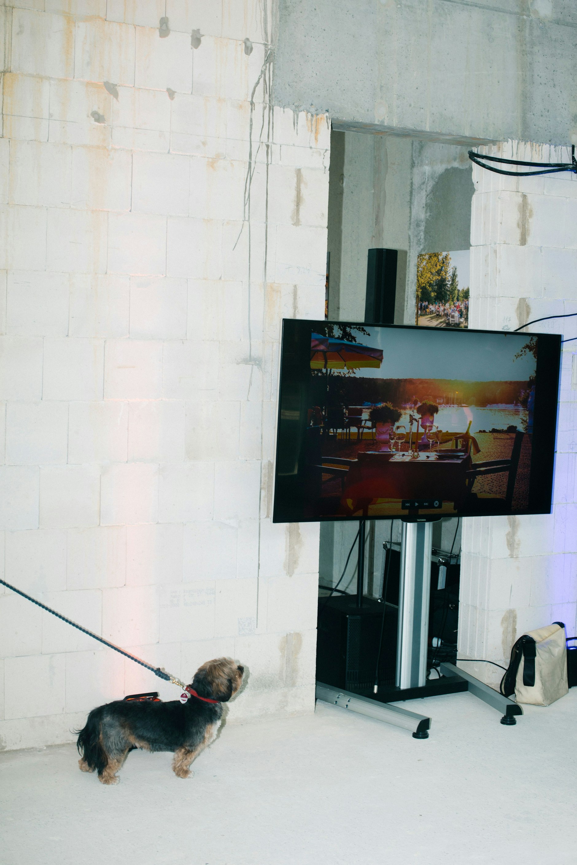 Serviervorschlag: Einrichtungs-Ideen flimmern über die Screens.