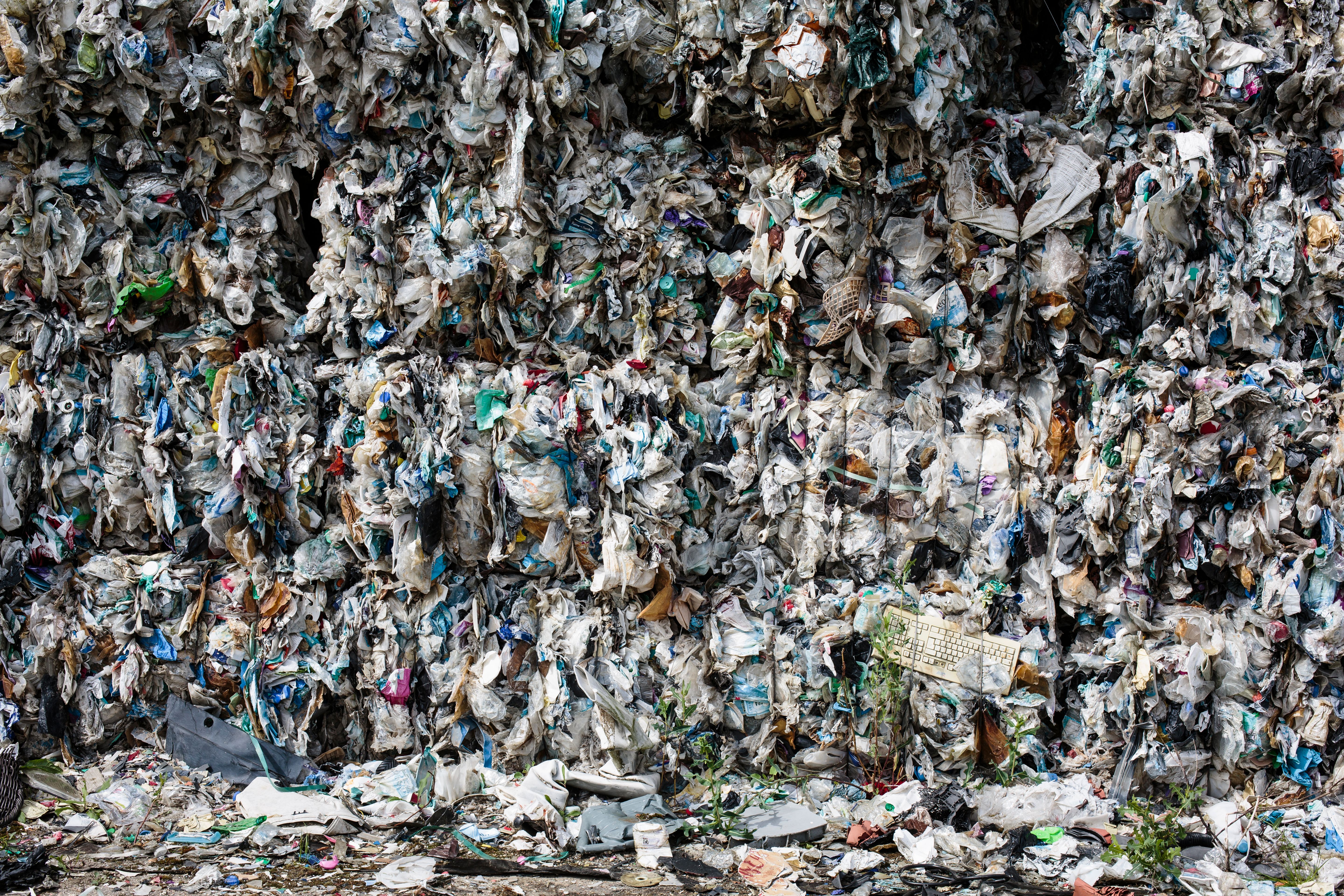 Bitcoin-Pechvogel bekommt Filmdenkmal: Als die 730-Millionen-Festplatte im  Müll landete