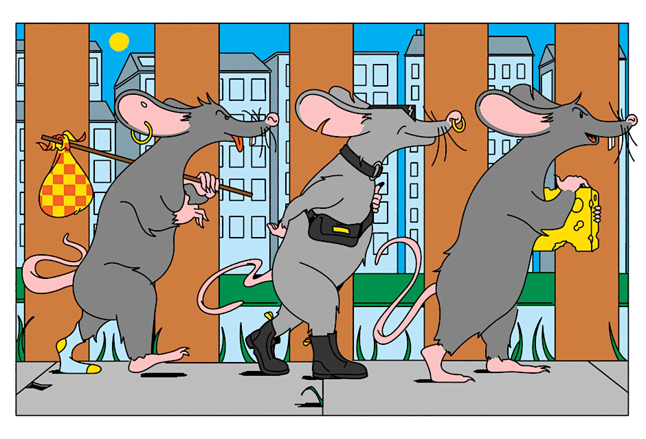 Ratten können pro Wurf bis zu 22 Junge bekommen, die nach drei Monaten geschlechtsreif sind.