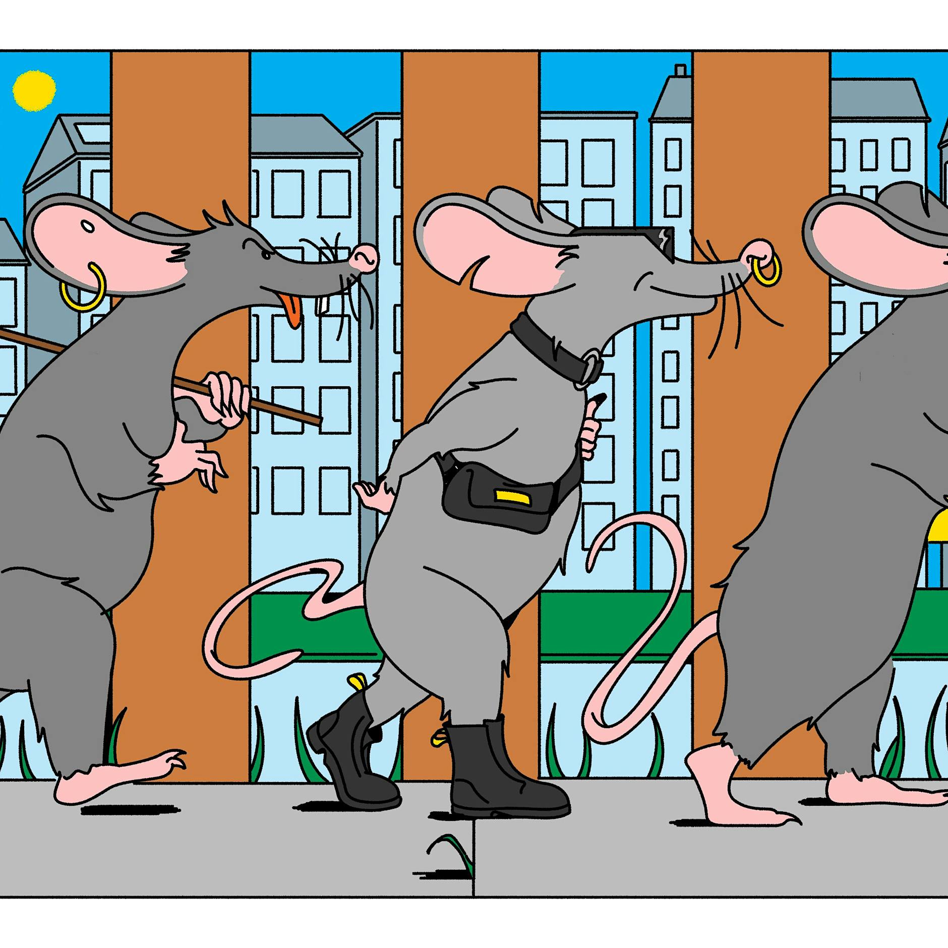 Plage in Kreuzberg: Plötzlich war der Hinterhof schwarz vor Ratten