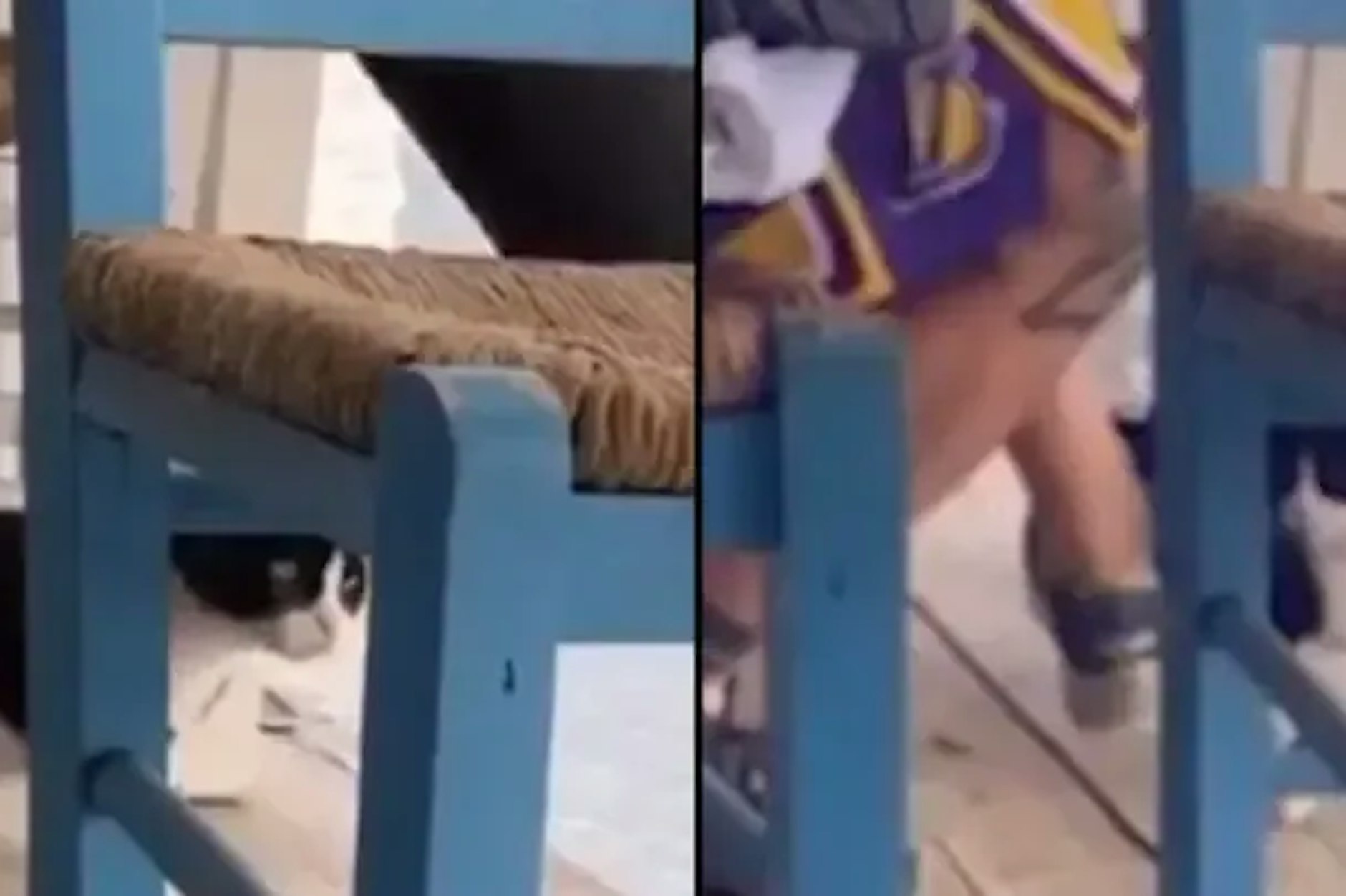 Ein Mann in Griechenland hat eine Katze ins Meer getreten. Jetzt drohen ihm 10 Jahre Knast.