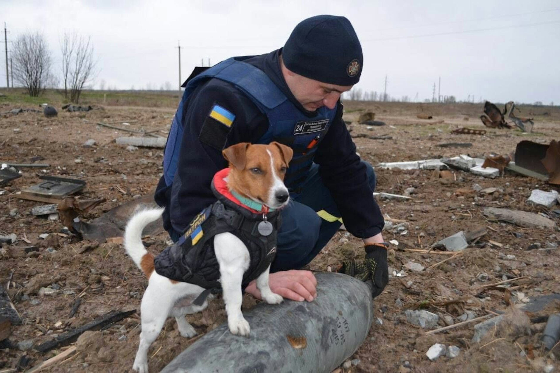 Minenspürhund Patron wurde vom ukrainischen Präsidenten Wolodymyr Selenskyj geehrt.