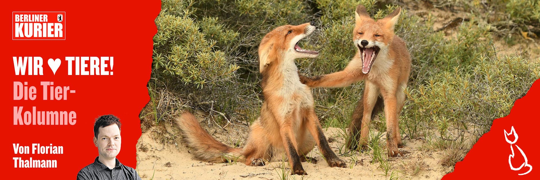 Erzählen sich Tiere gegenseitig Witze? Wer dieses Foto sieht, könnte es fast glauben.