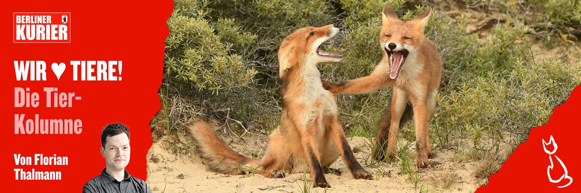 Erzählen sich Tiere gegenseitig Witze? Wer dieses Foto sieht, könnte es fast glauben.