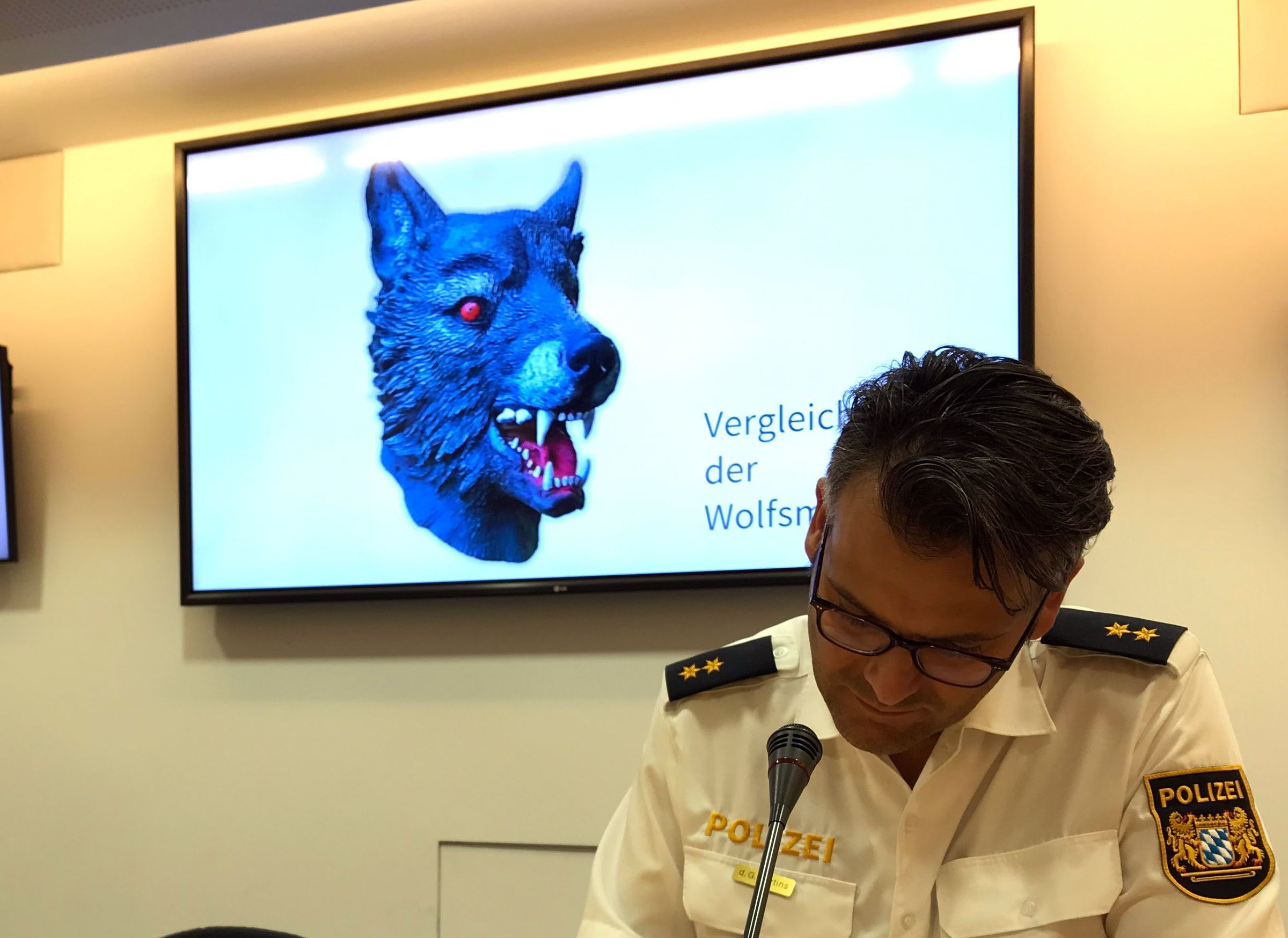 Image - Elfjährige vergewaltigt: „Wolfsmasken-Prozess“ muss neu verhandelt werden