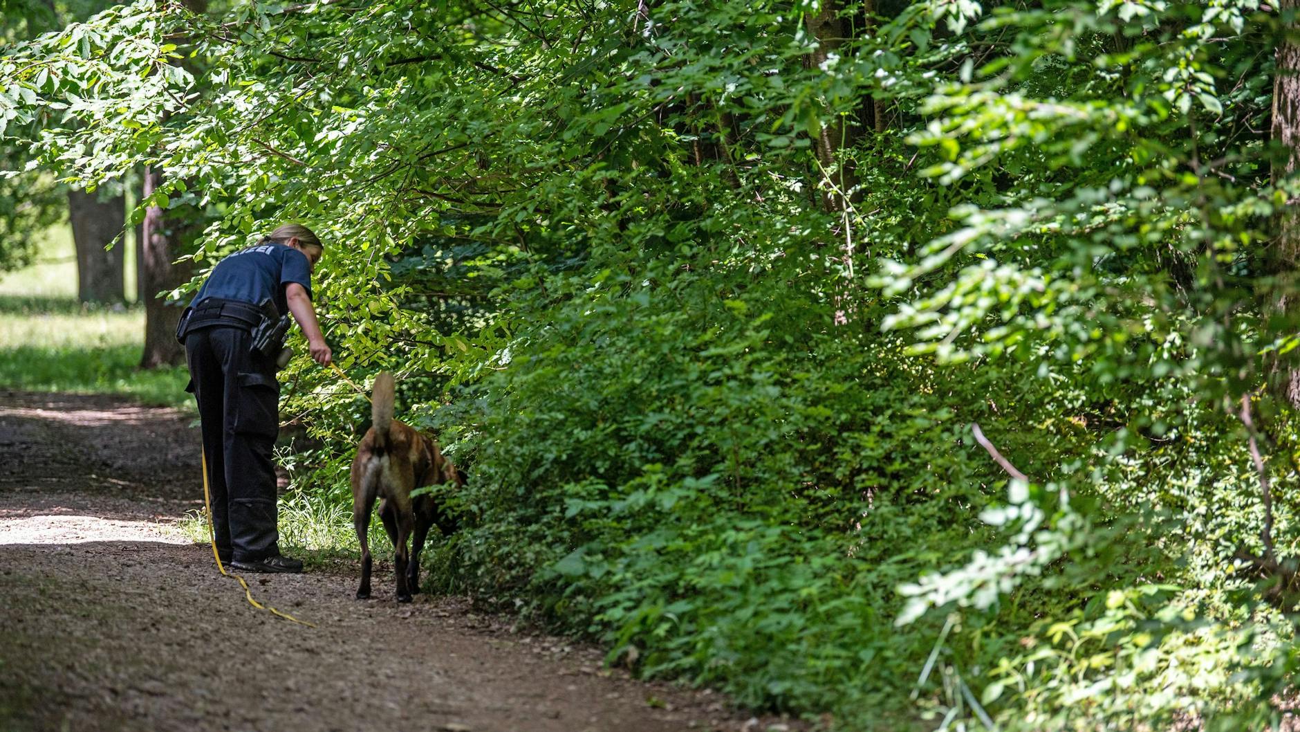 Eine Polizistin sucht mithilfe eines Suchhundes am Rande eines Waldstückes nach Hinweisen. Ein elfjähriges Mädchen wurde am helllichten Tag von einem Mann, der eine Wolfsmaske getragen haben soll, vergewaltigt.