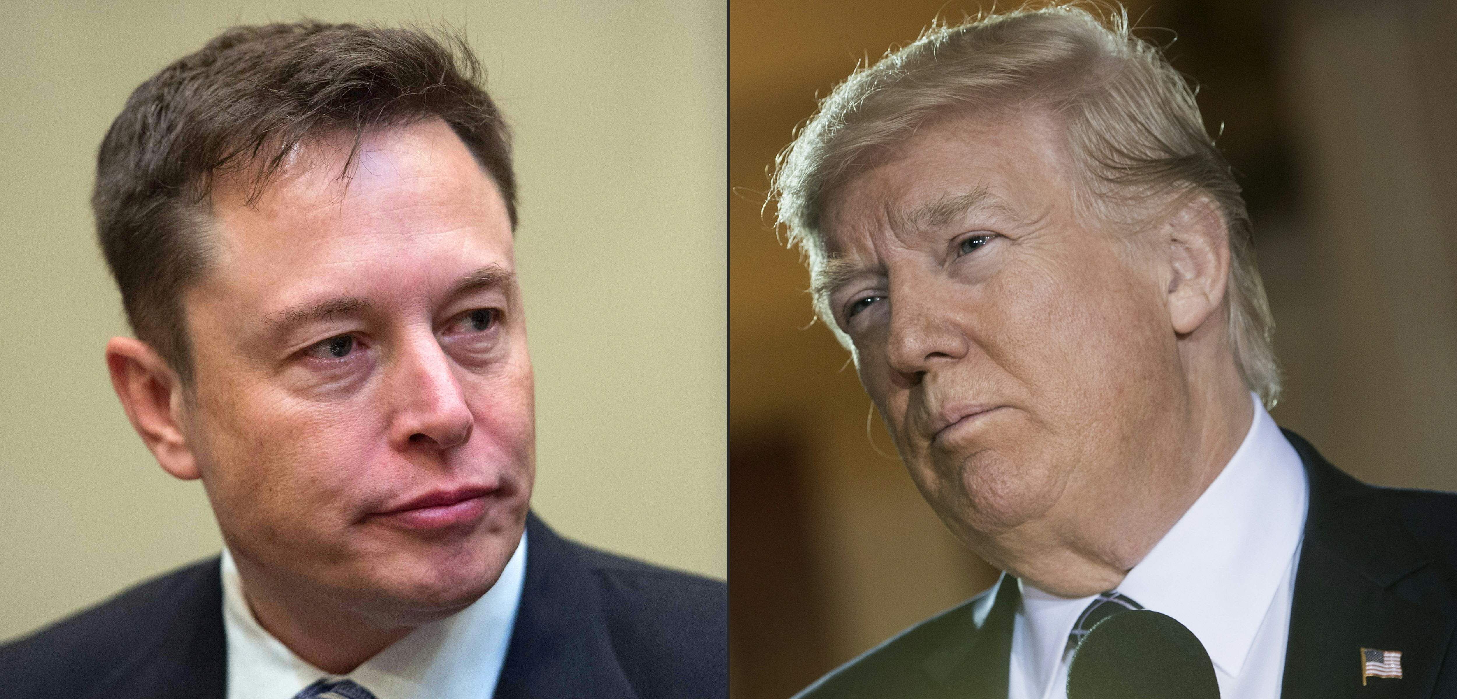 Elon Musk lässt Katze aus dem Sack: Verbannter Donald Trump soll zurück zu Twitter!