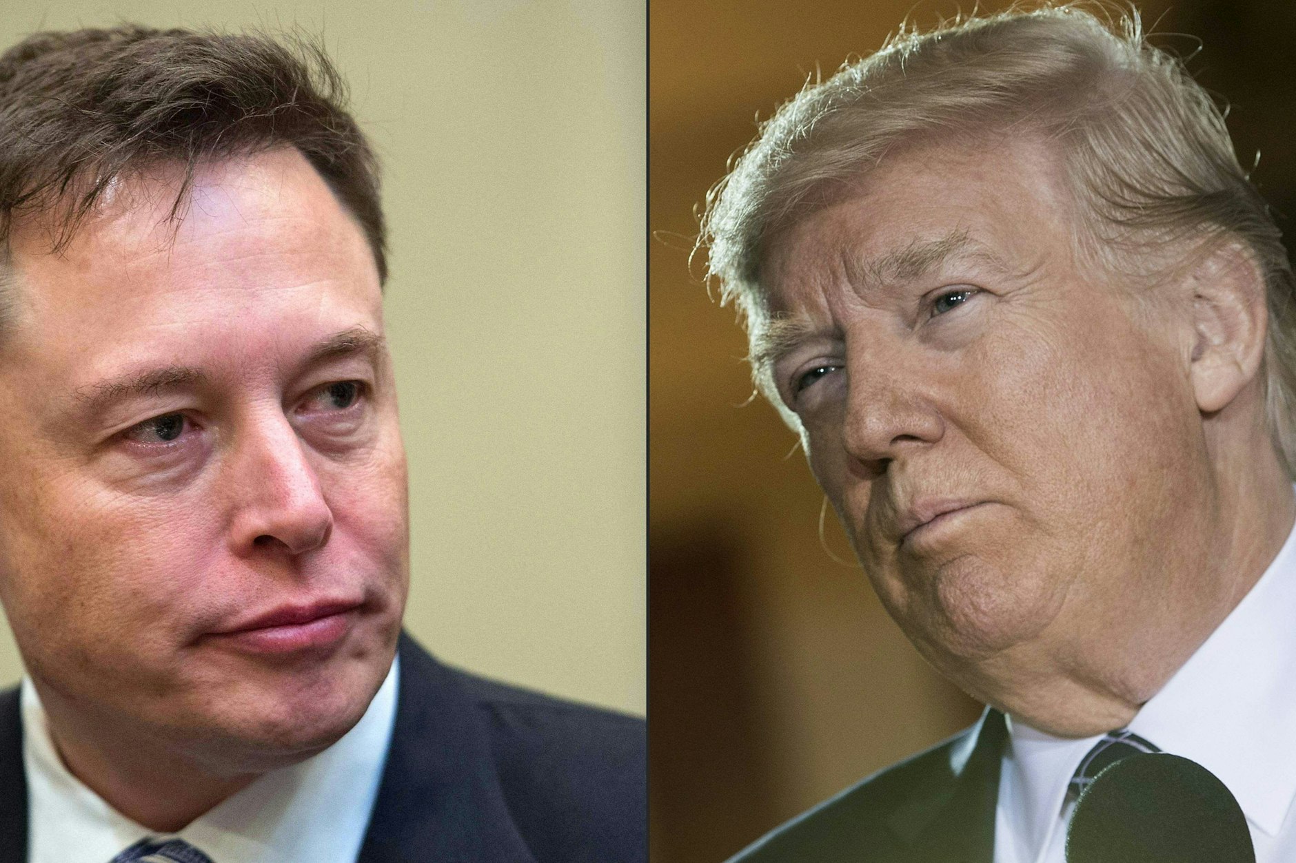 Tech-Milliardär Elon Musk (l.) will den Twitter-Bann über Ex-Präsident Donald Trump aufheben.