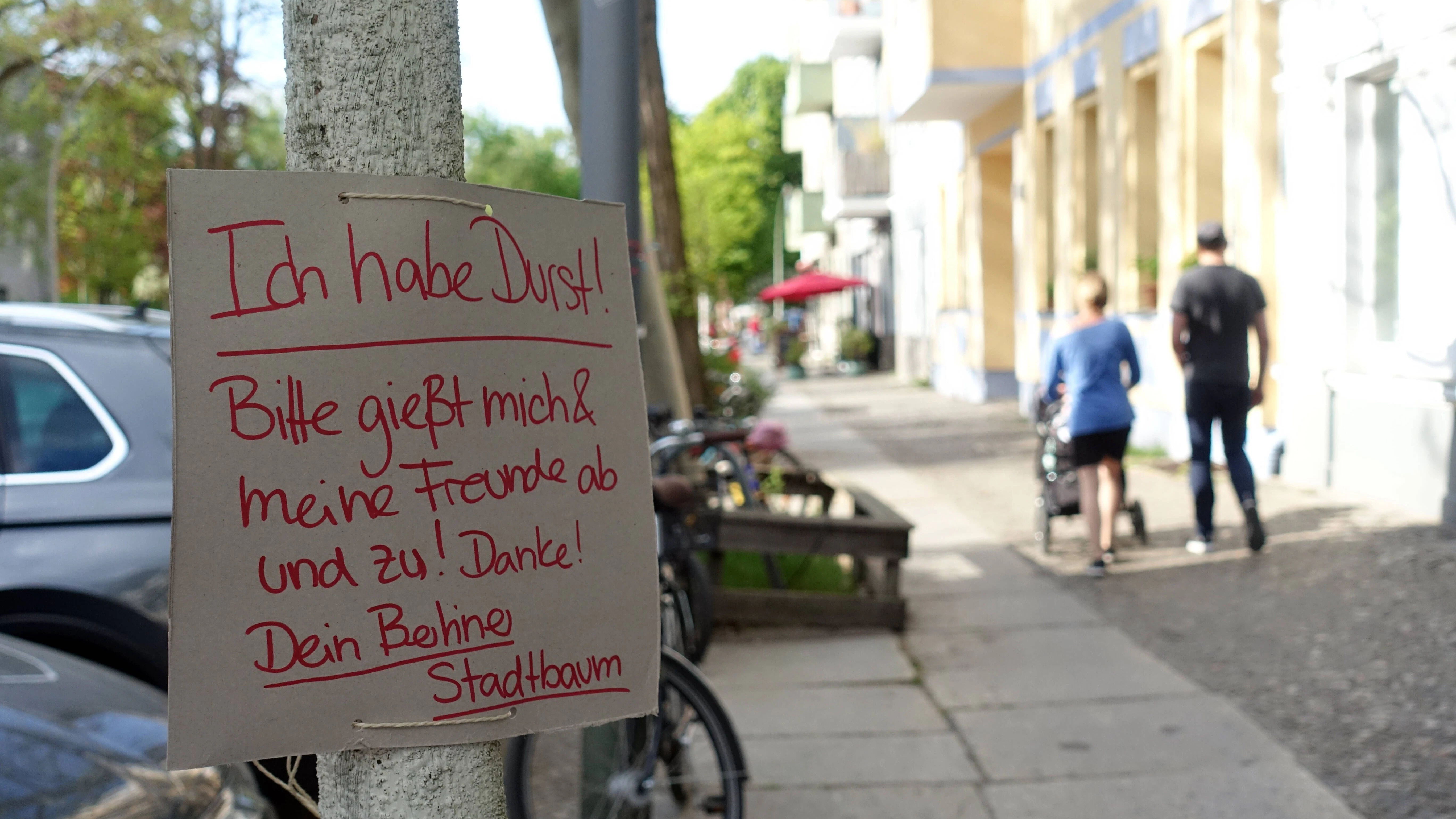 Schild an einem Berliner Stadtbaum.