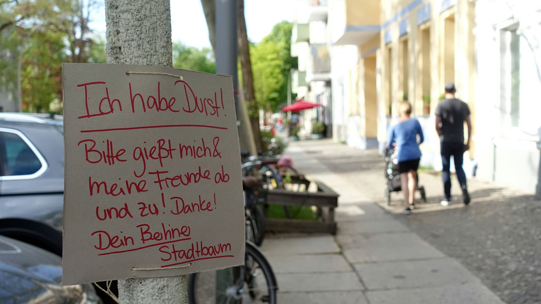 Schild an einem Berliner Stadtbaum.