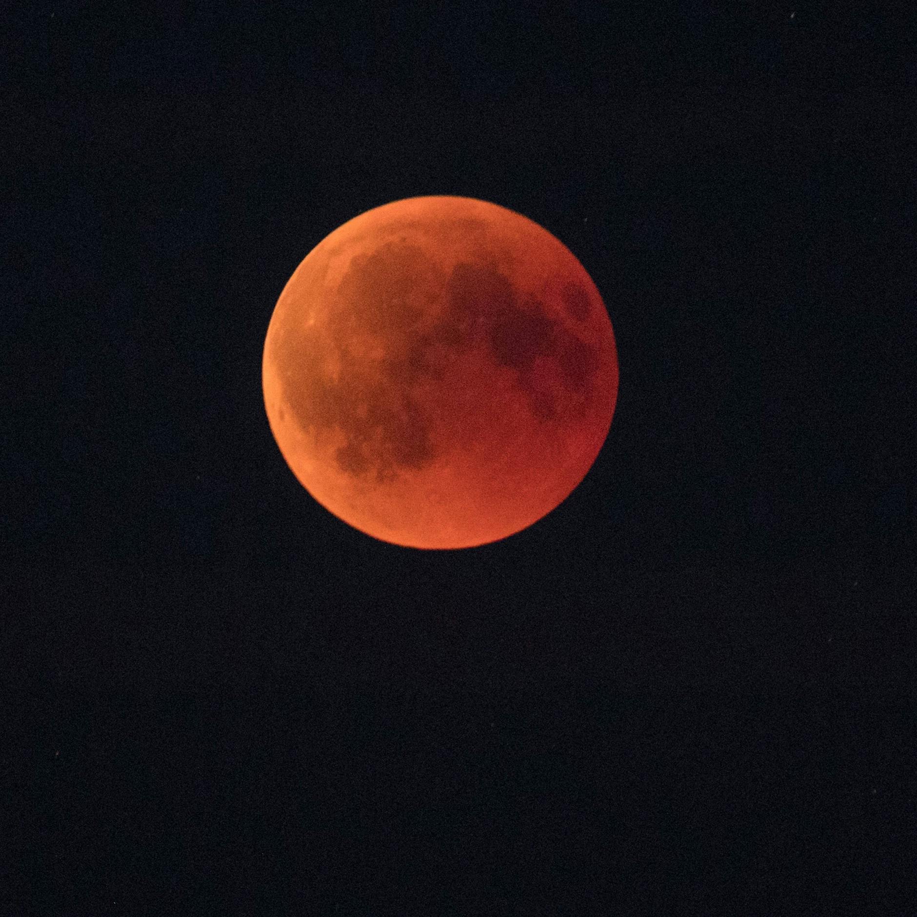 Image - Blutmond heute über Berlin: Dann ist die Mondfinsternis zu sehen