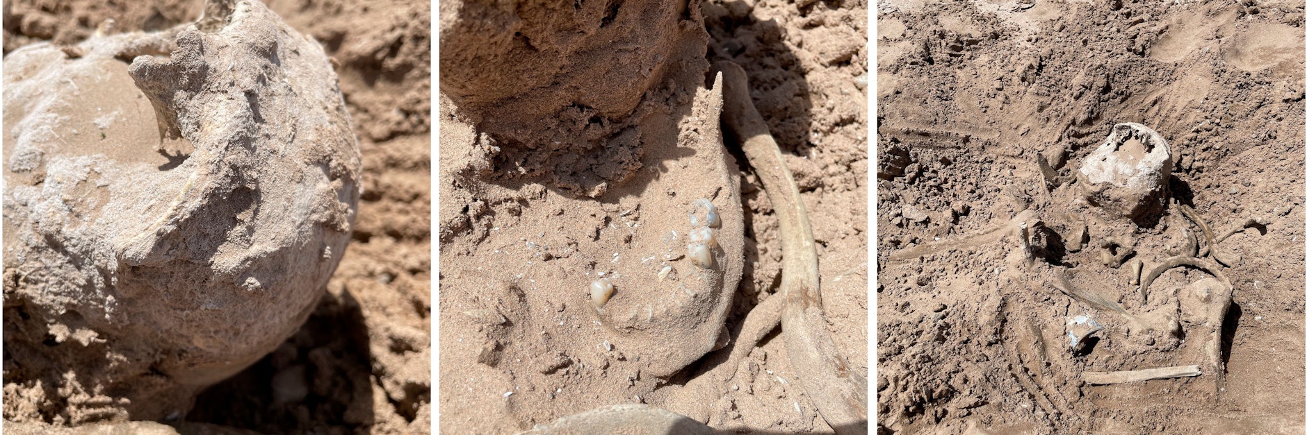 Diese Leichenteile entdeckten&nbsp;Lindsay und Lynette Melvin im austrocknenden Lake Mead.