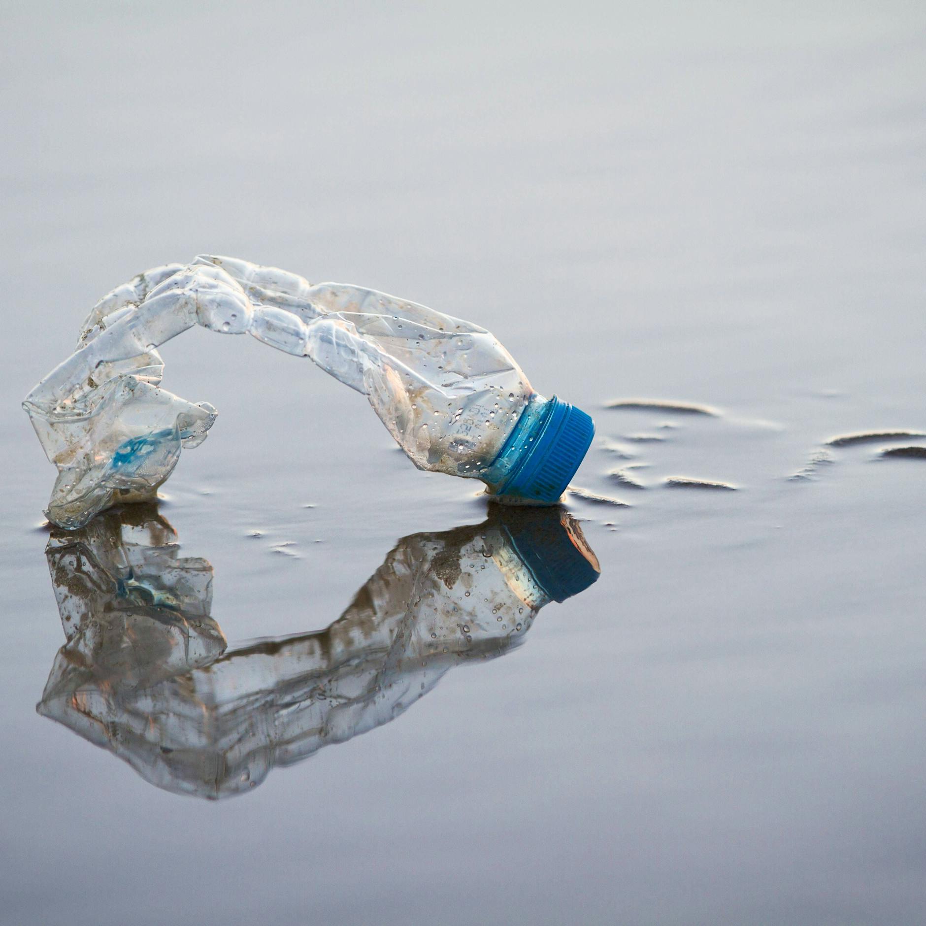 Kampf gegen Verpackungsmüll: Wissenschaftler entwickeln plastikzersetzendes Enzym!