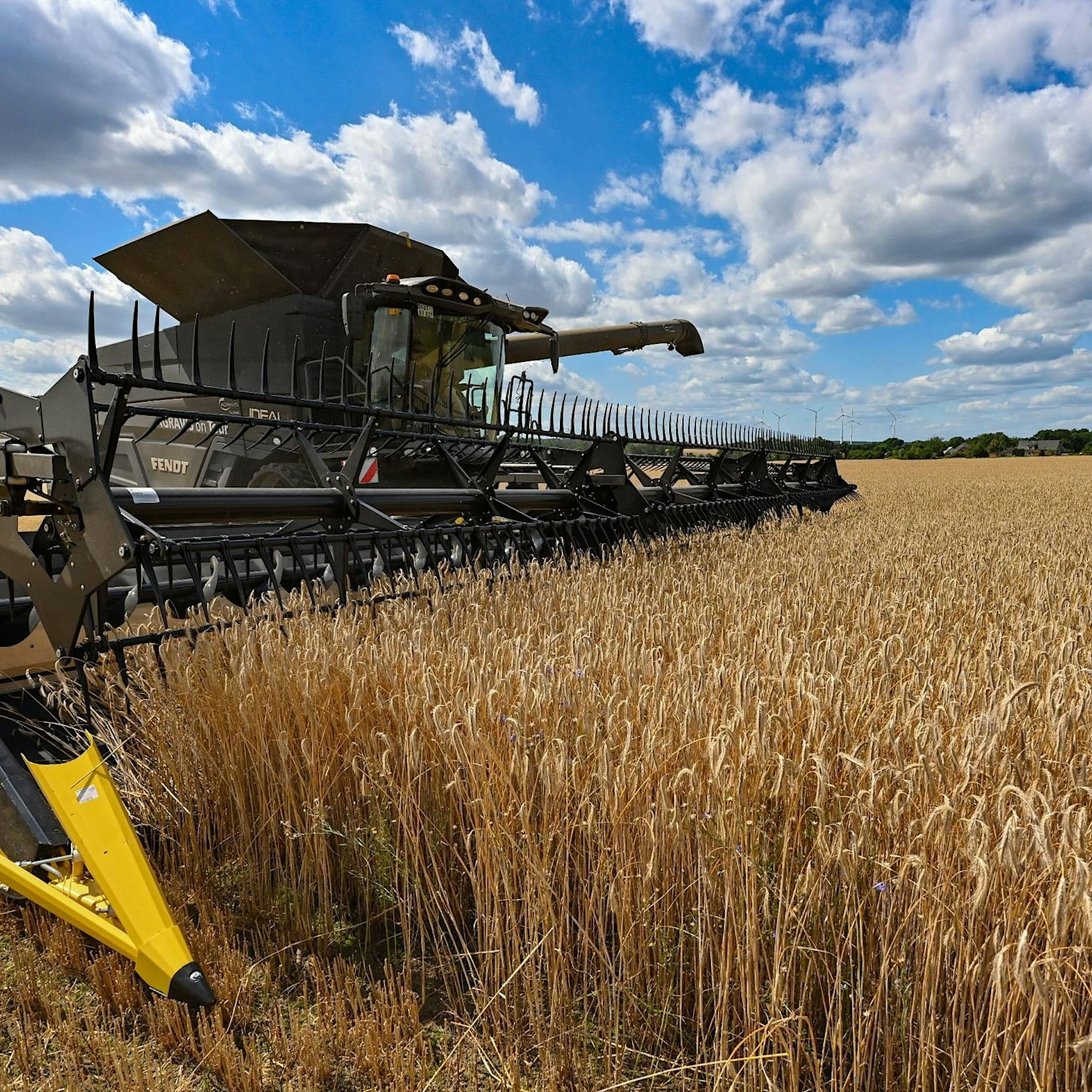 Preise: Getreide so stark verteuert wie seit mehr als zehn Jahren nicht mehr