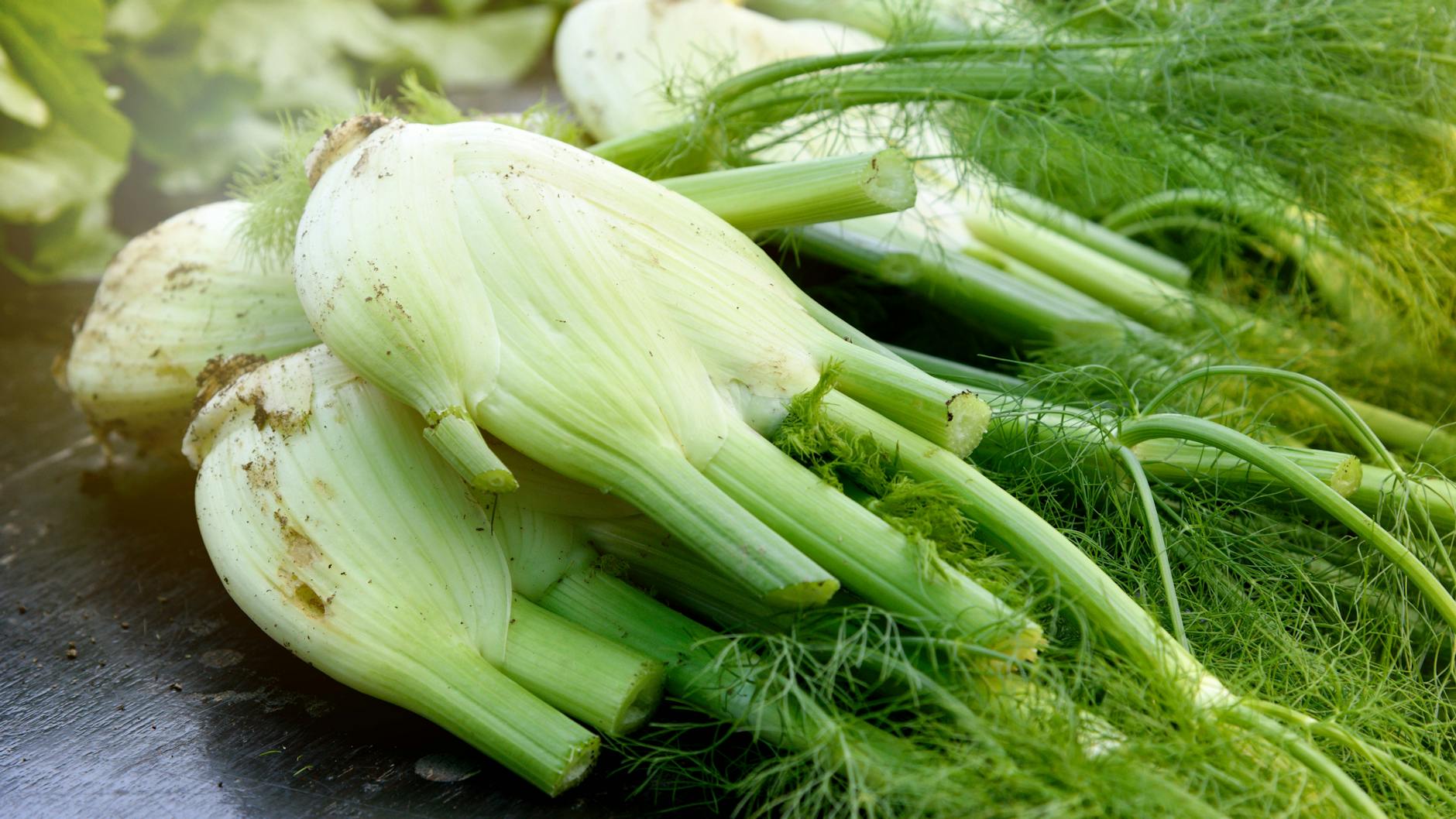 Fenchel ist ein super gesundes Gemüse und perfekt in einer leckeren Fenchelsuppe.