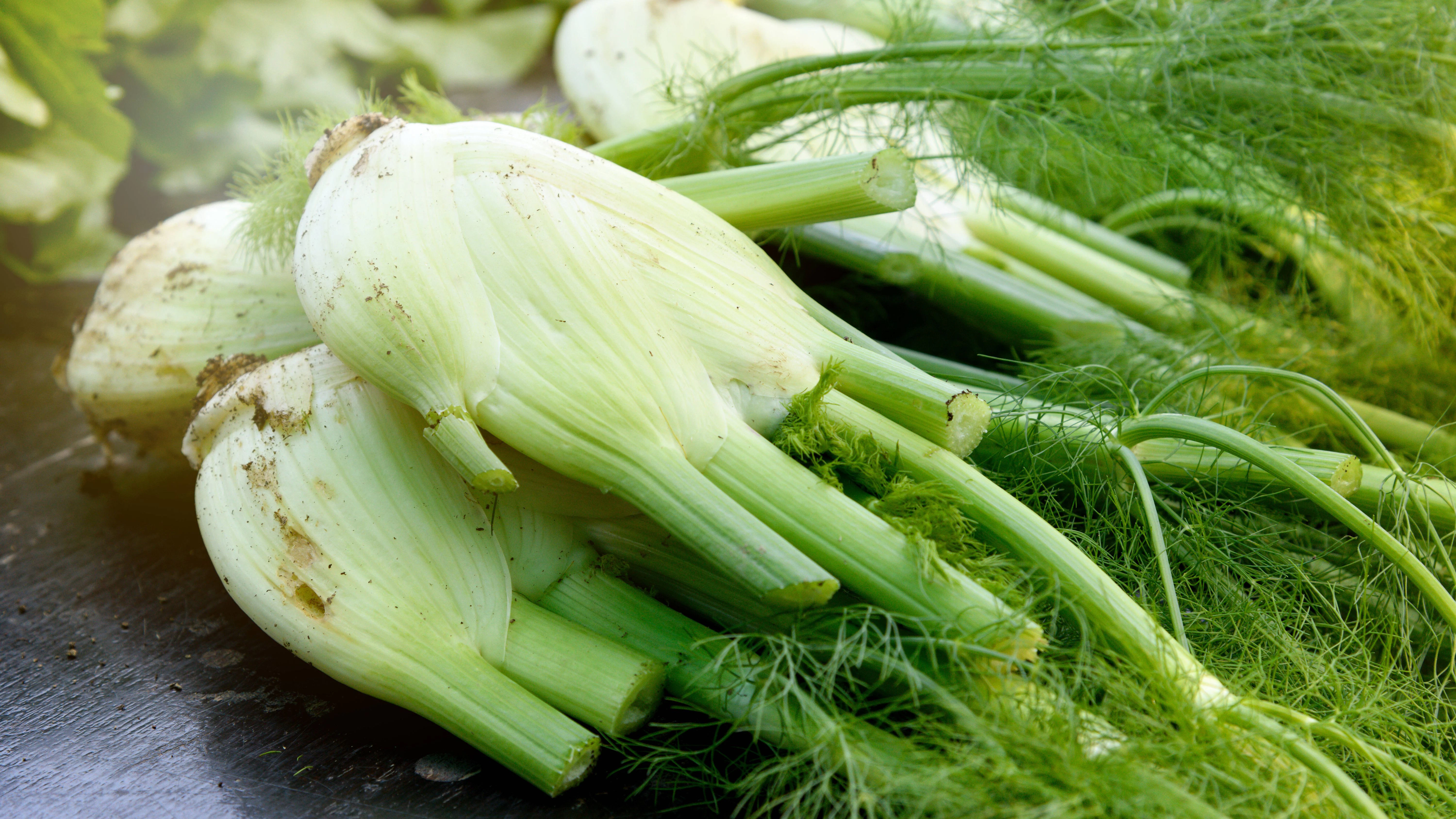 Fenchel ist ein supergesundes Gemüse und perfekt in einer leckeren Fenchel-Rahm-Suppe.