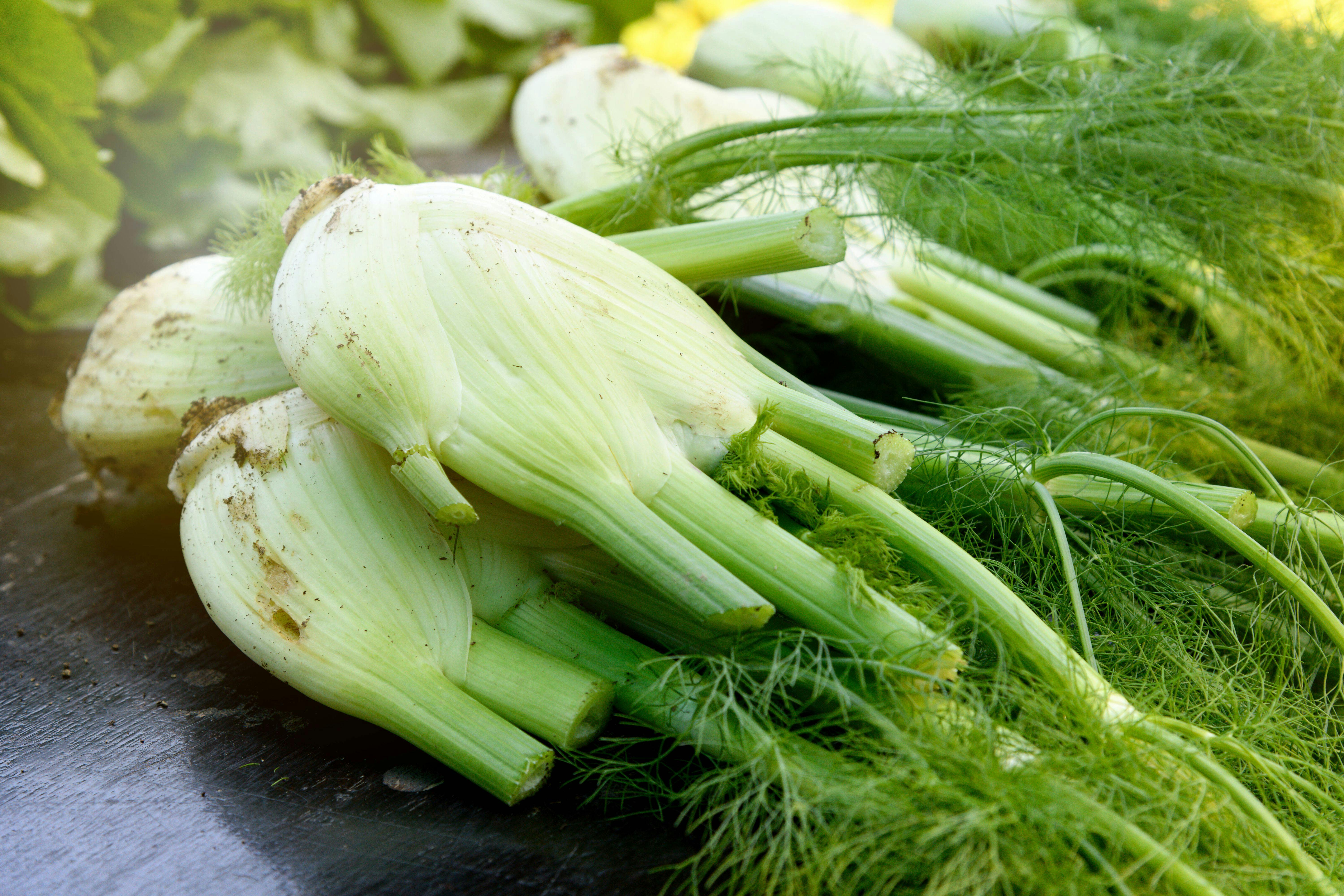 Geniales Rezept für Fenchelsuppe: Eine süße Zutat macht sie so lecker