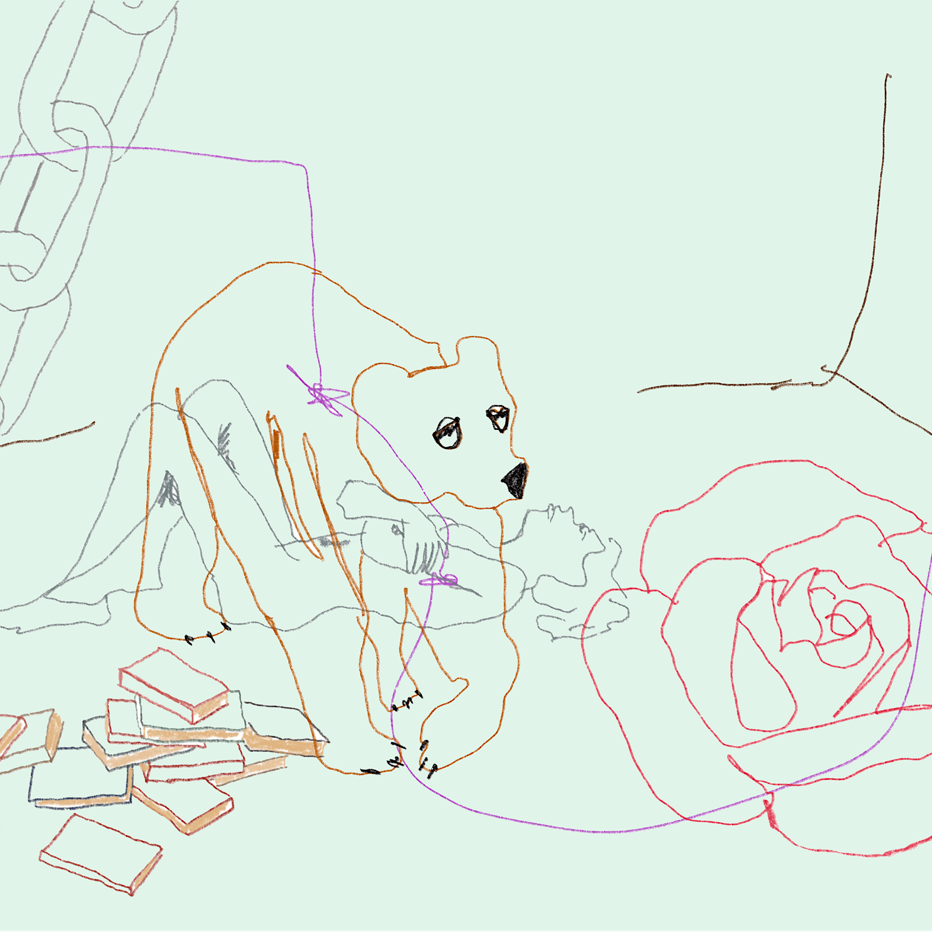 Liebe & Sex: Die Bibliothekarin und der Bär mit dem Penisknochen