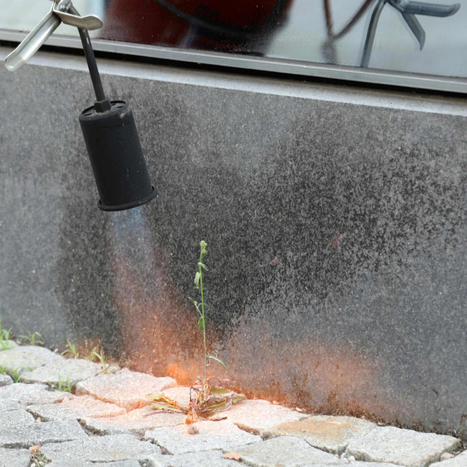 Achtung ist beim Unkrautabflammen geboten.