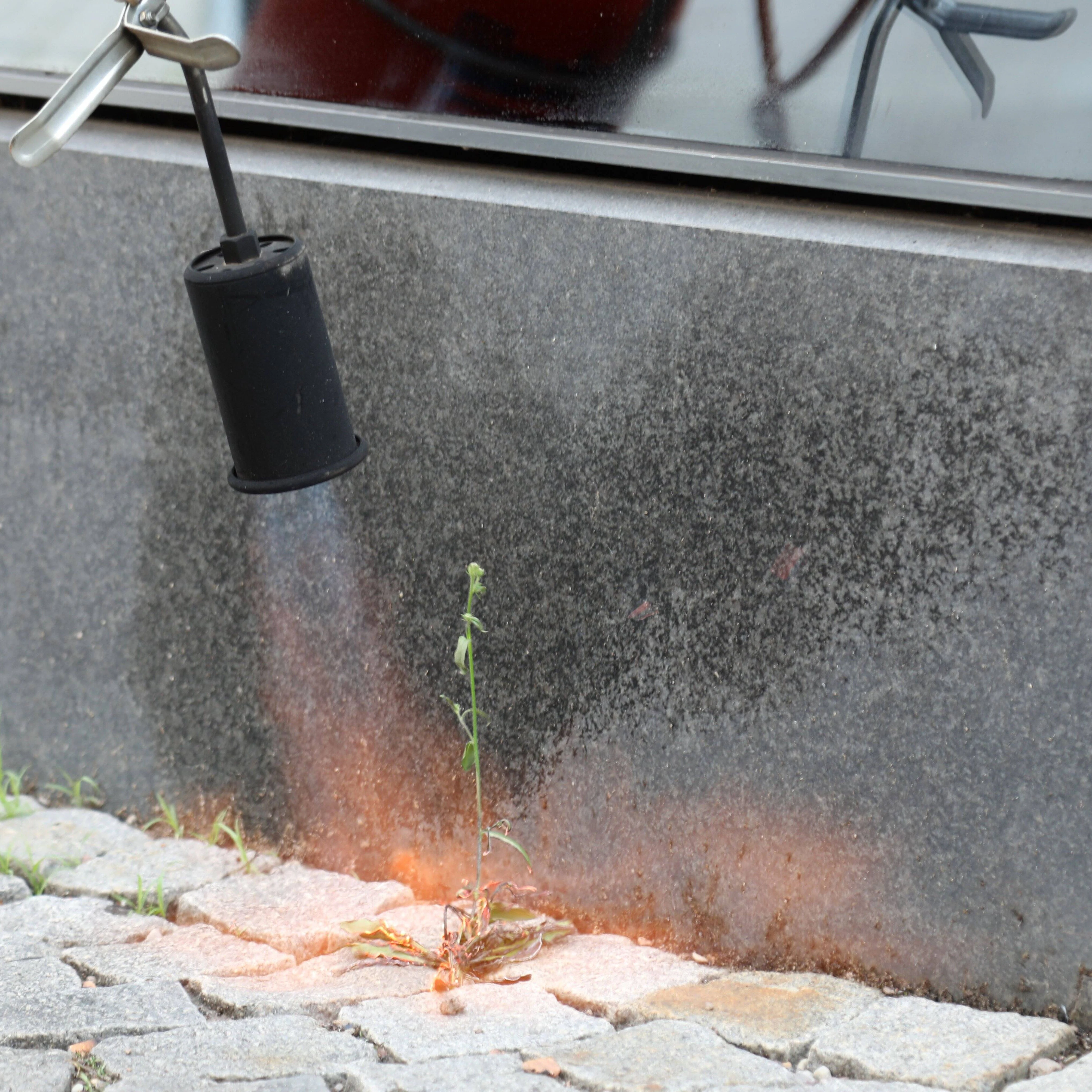Achtung ist beim Unkrautabflammen geboten.