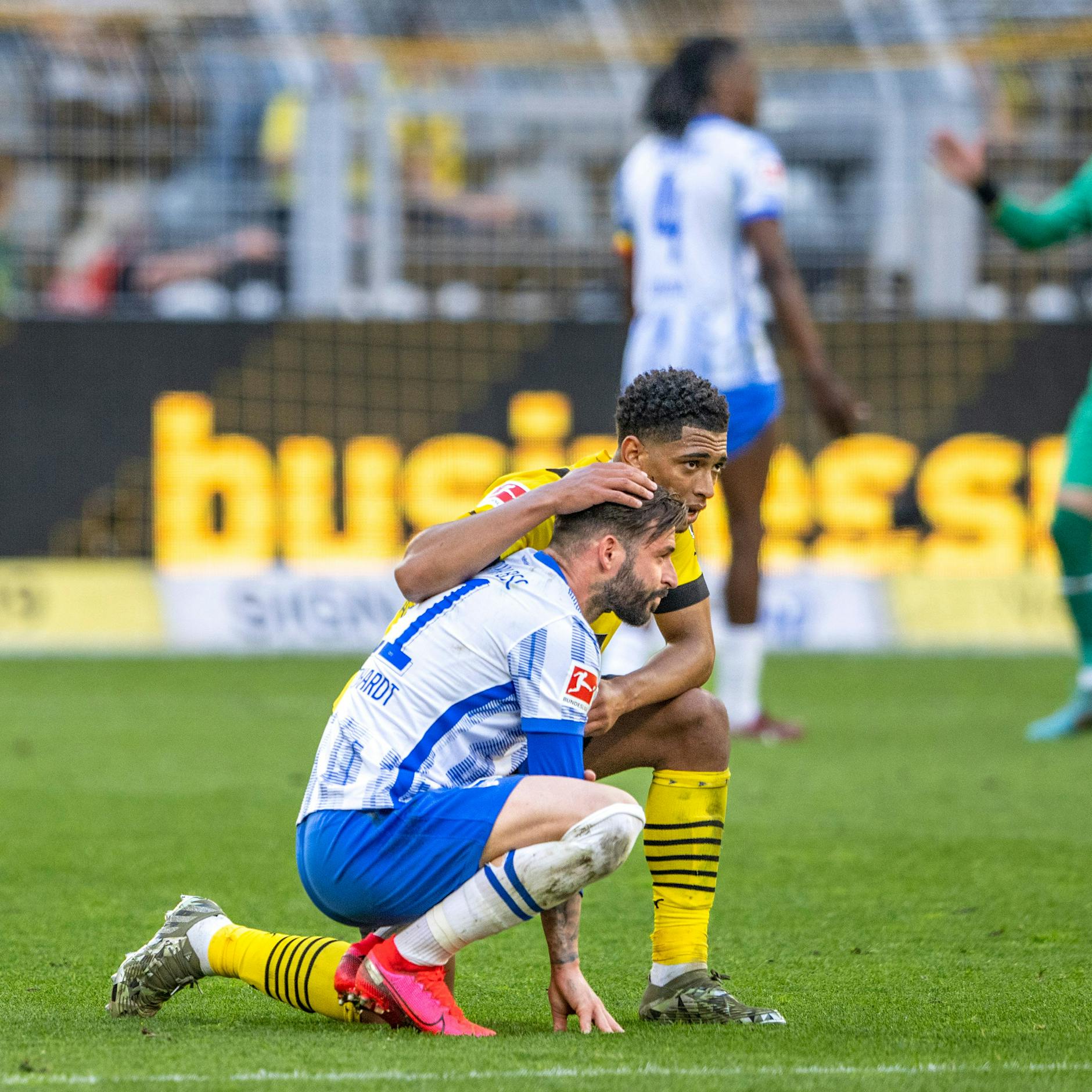 1:2 in Dortmund! Das Drama ist perfekt, Hertha BSC muss in die Relegation