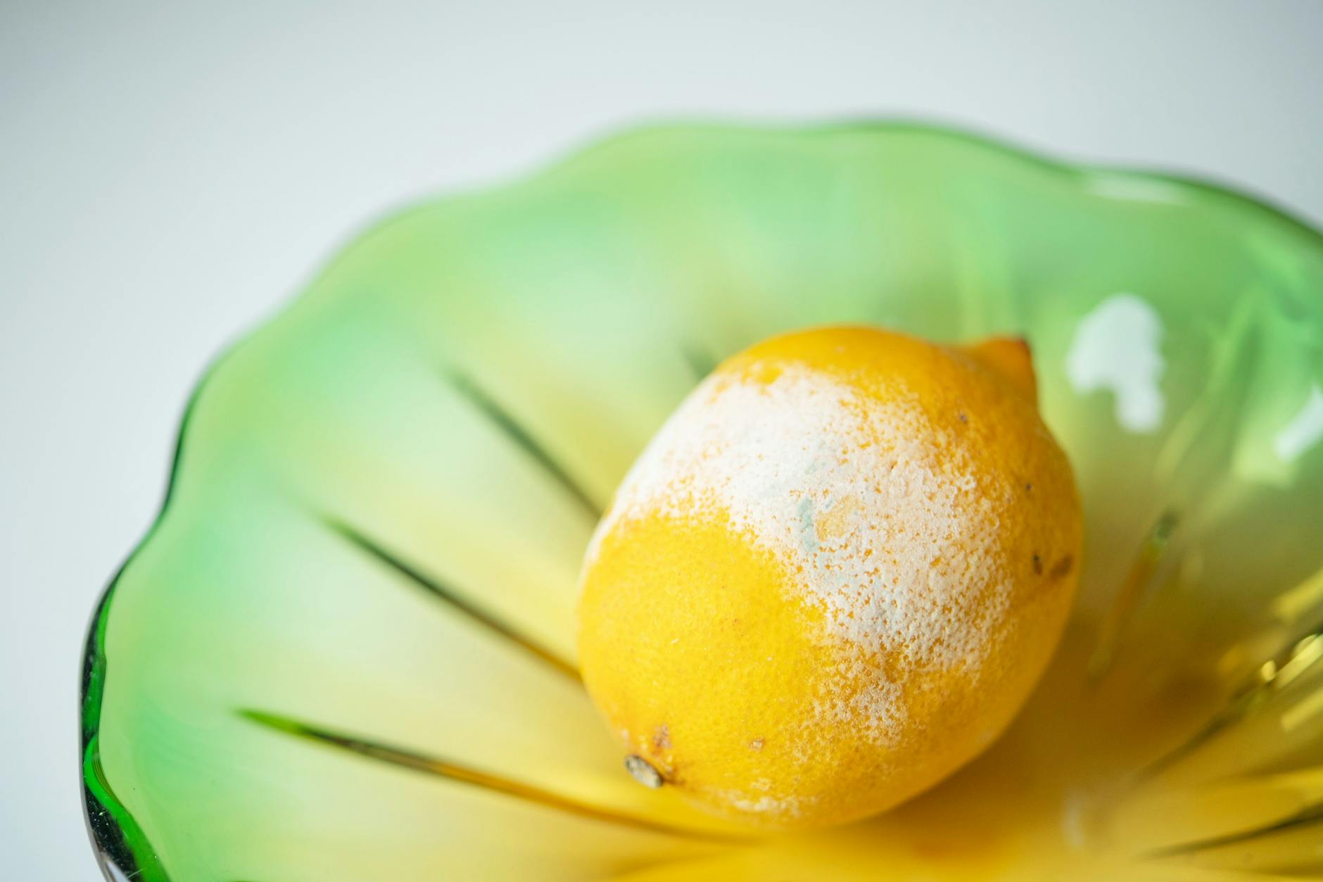 Egal, ob bio oder konventionell – wenn die Zitrone eine schimmelige Stelle hat, sollte die ganze Frucht in die Biotonne wandern.