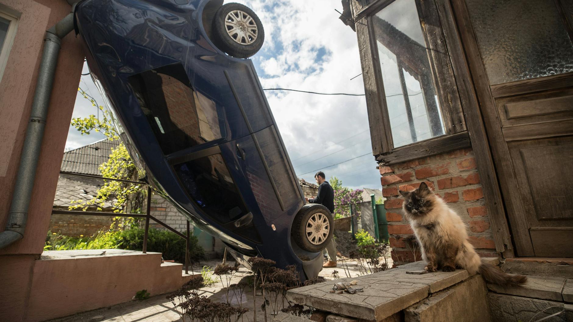 Durch die Wucht einer Explosion bei der Schlacht um den ukrainischen Ort Charkiv ist dieser PKW kopfüber an einem Gebäude gelandet. Daneben miaut eine Katze.