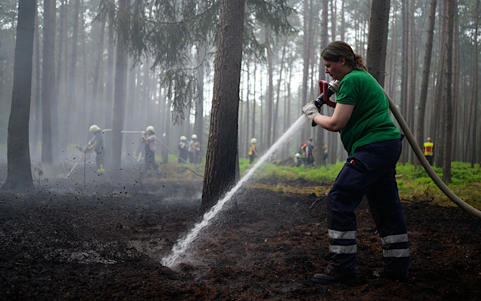 Einsatzkräfte der Feuerwehr löschen einen Waldbrand (Symbolbild).