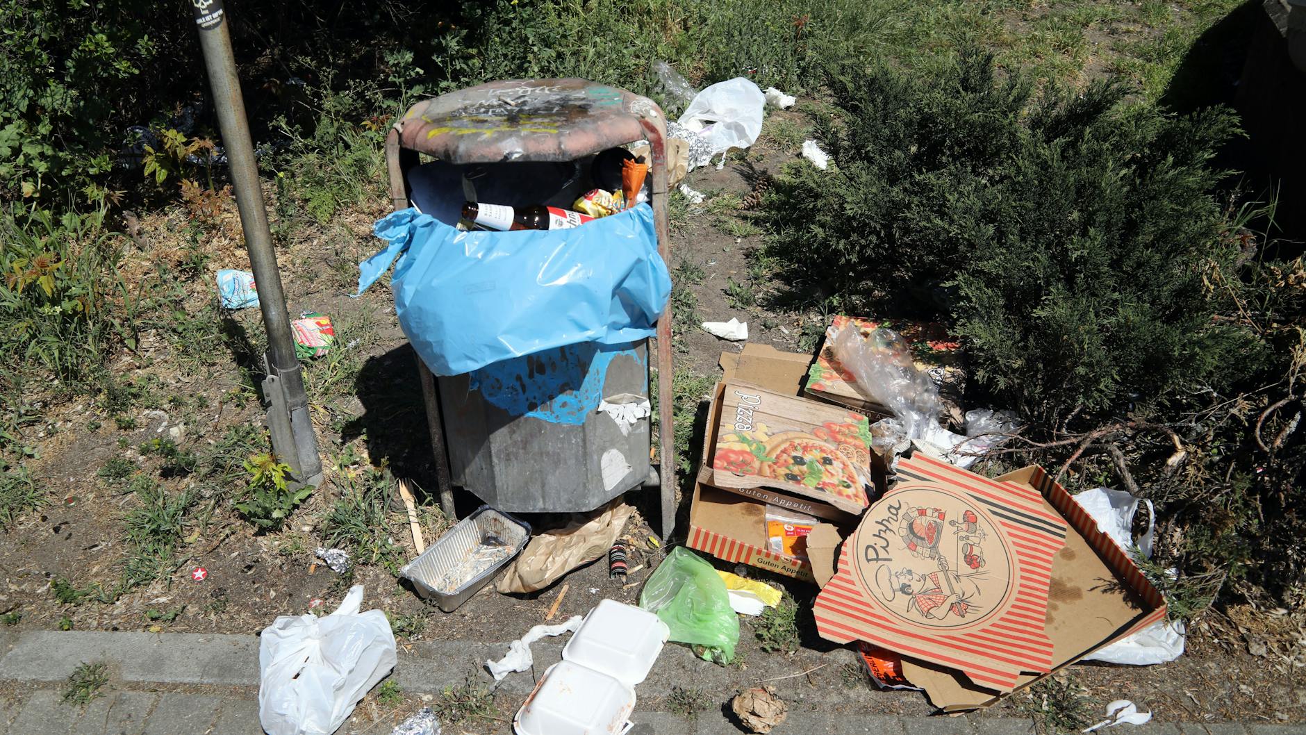 Achtlos hingeworfener Abfall gehört in vielen Berliner Grünanlagen zum Stadtbild.