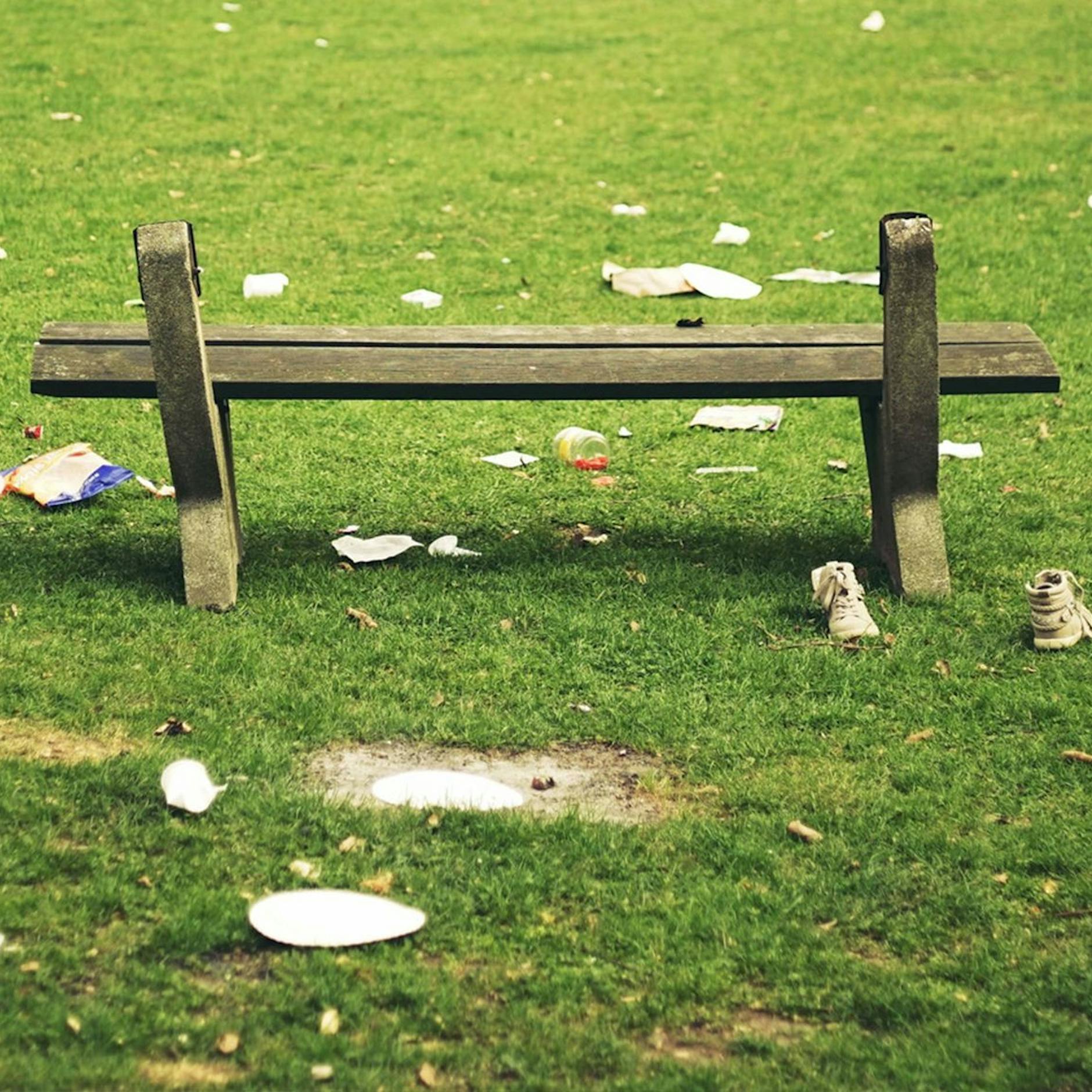 Bittere Abrechnung: DIESES Tier ist das ekelhafteste Berlins – und es sollte ausgerottet werden!