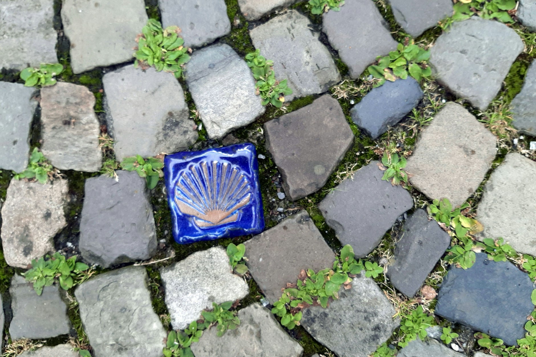 Pflastersteine werden auch ohne Chemie wieder wie neu.