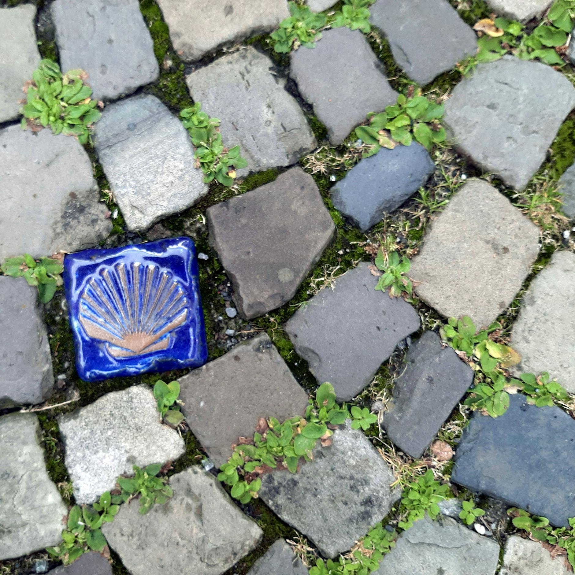 Geniale Tipps: So reinigen Sie schmuddelige Pflastersteine im Garten – ganz ohne Chemie und Hochdruck!