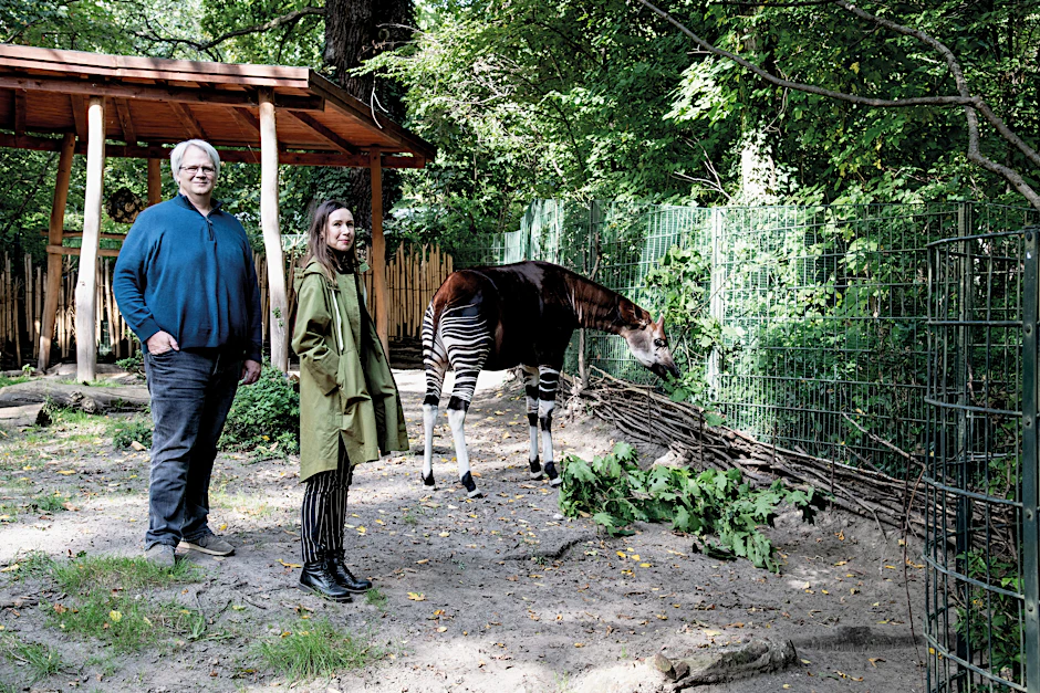 Ulrike Sterblich und Heiko Werning haben „Von Okapi, Scharnierschildkröte und Schnilch. Ein prekäres Bestiarium“ geschrieben, ein Buch voll traurig-komischer Geschichten über von der Ausrottung bedrohte Tierarten.