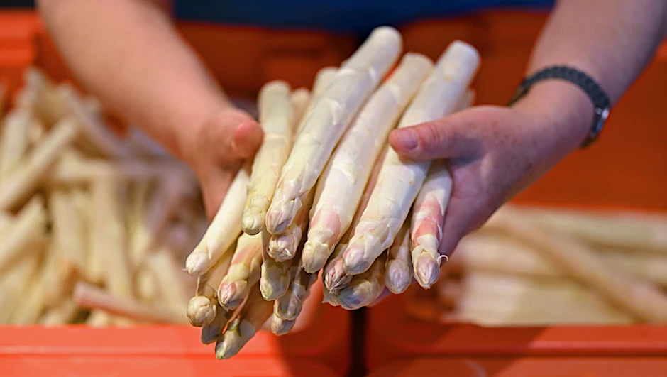 Frischer Spargel: Die Erntesaison dauert bis zum 24. Juni, dem Johannistag.