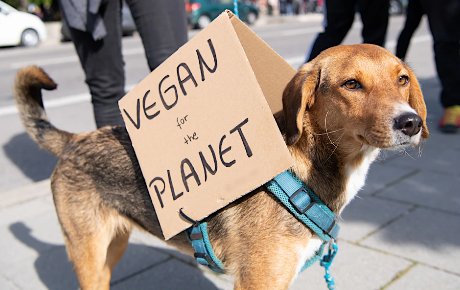 Hund Leni nimmt an einer Demonstration teil und trägt dabei ein Plakat mit der Aufschrift "Vegan for the Planet".