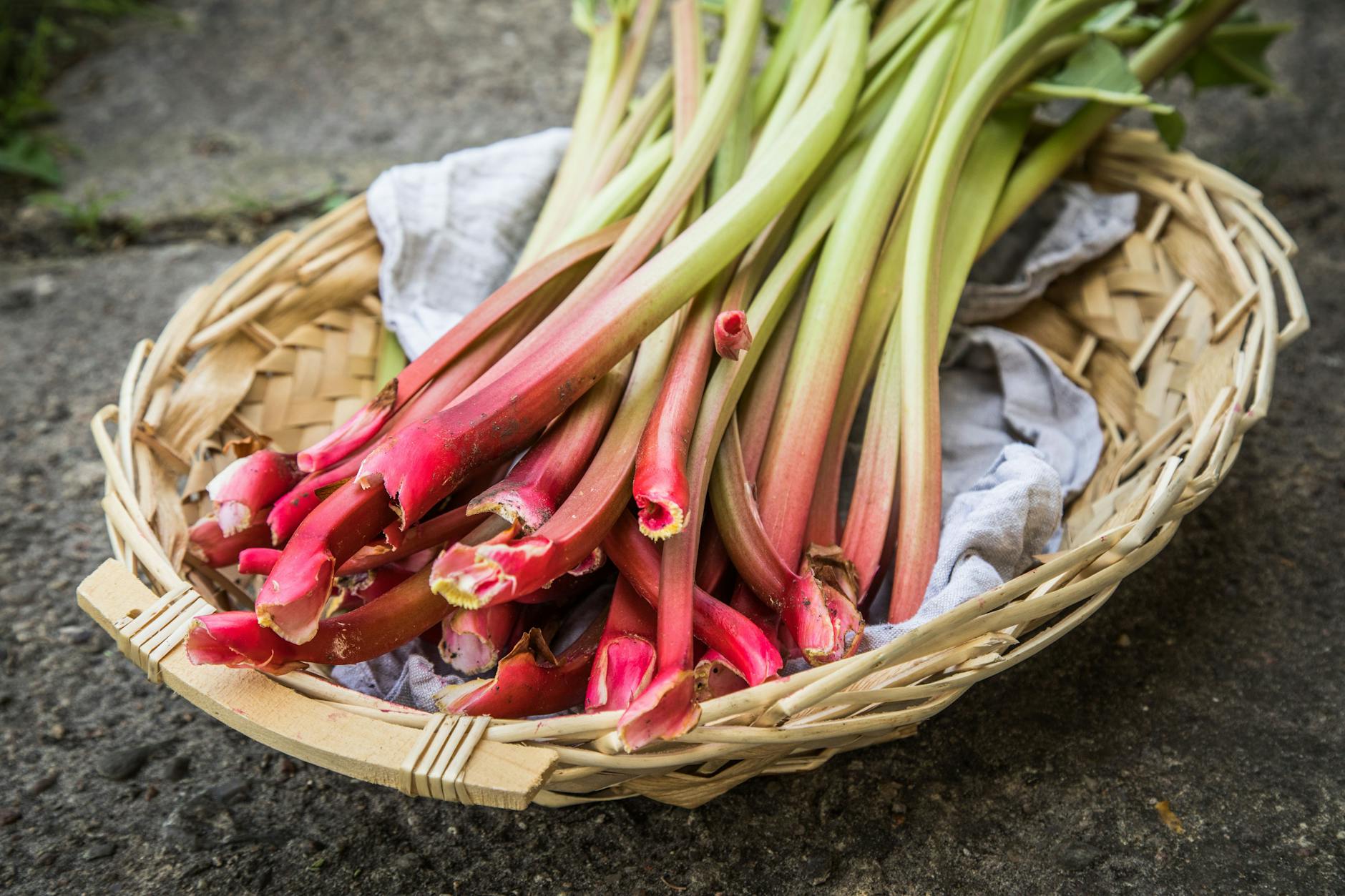 Eine Rhabarber-Regel: Je röter der Stengel, desto mild-säuerlicher der Geschmack.