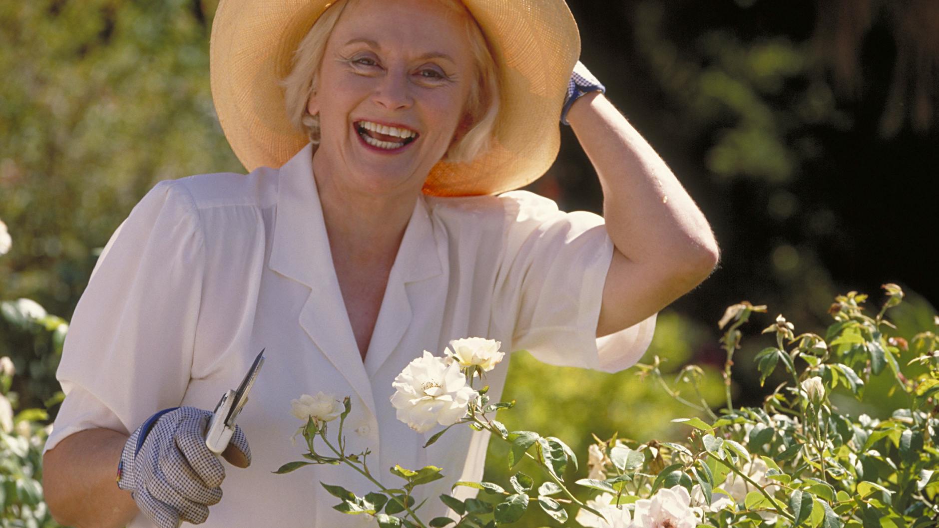 Wer seine Rosen im Garten richtig schneidet und düngt, kann jahrzehntelang an den duftenden Blüten Freude haben.