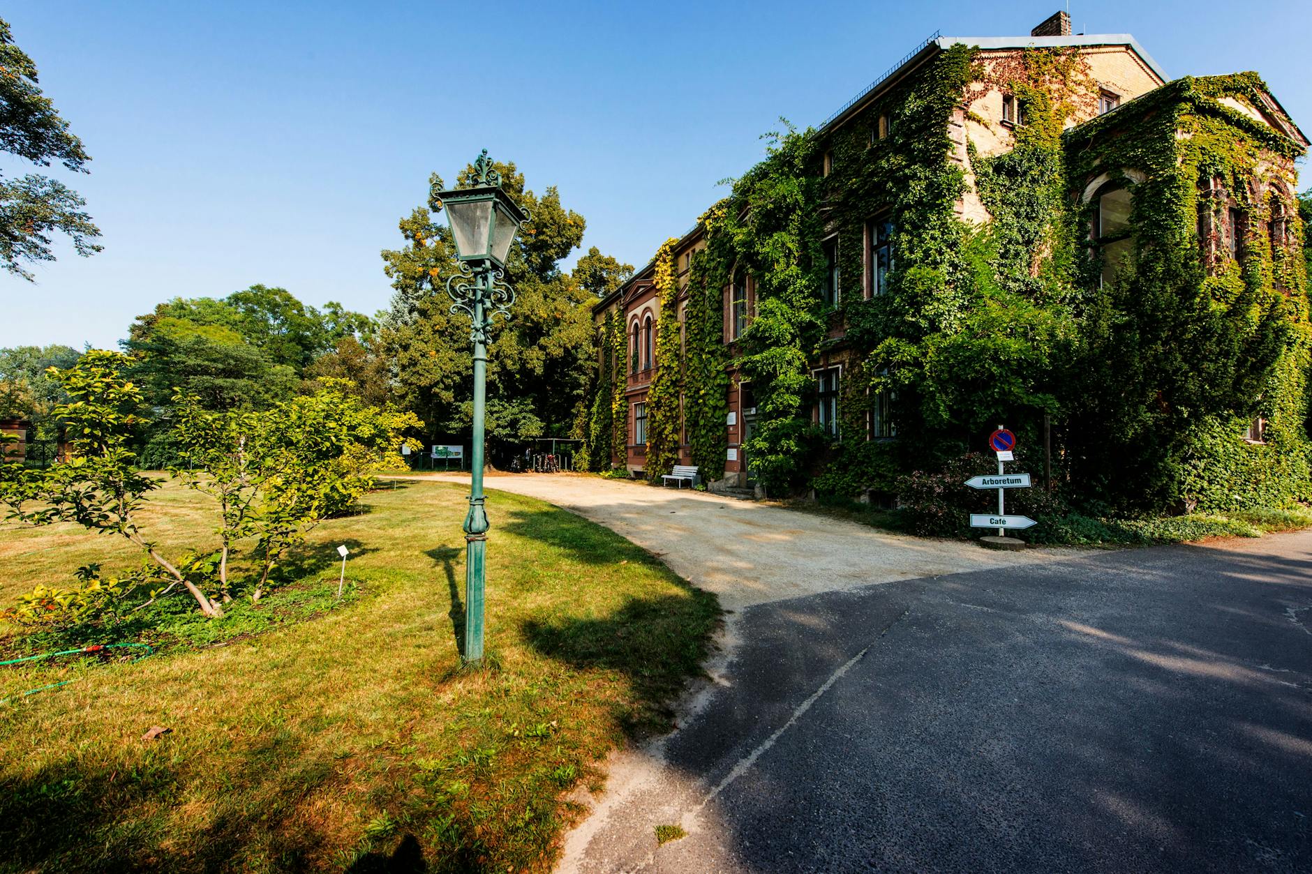 Bekannteste Institution in Späthsfelde: die Baumschule Späth. Der historische Stammsitz der Baumschule soll laut einer Antwort des Senats „als identitätsstiftender Ort bewahrt und fortentwickelt werden“.