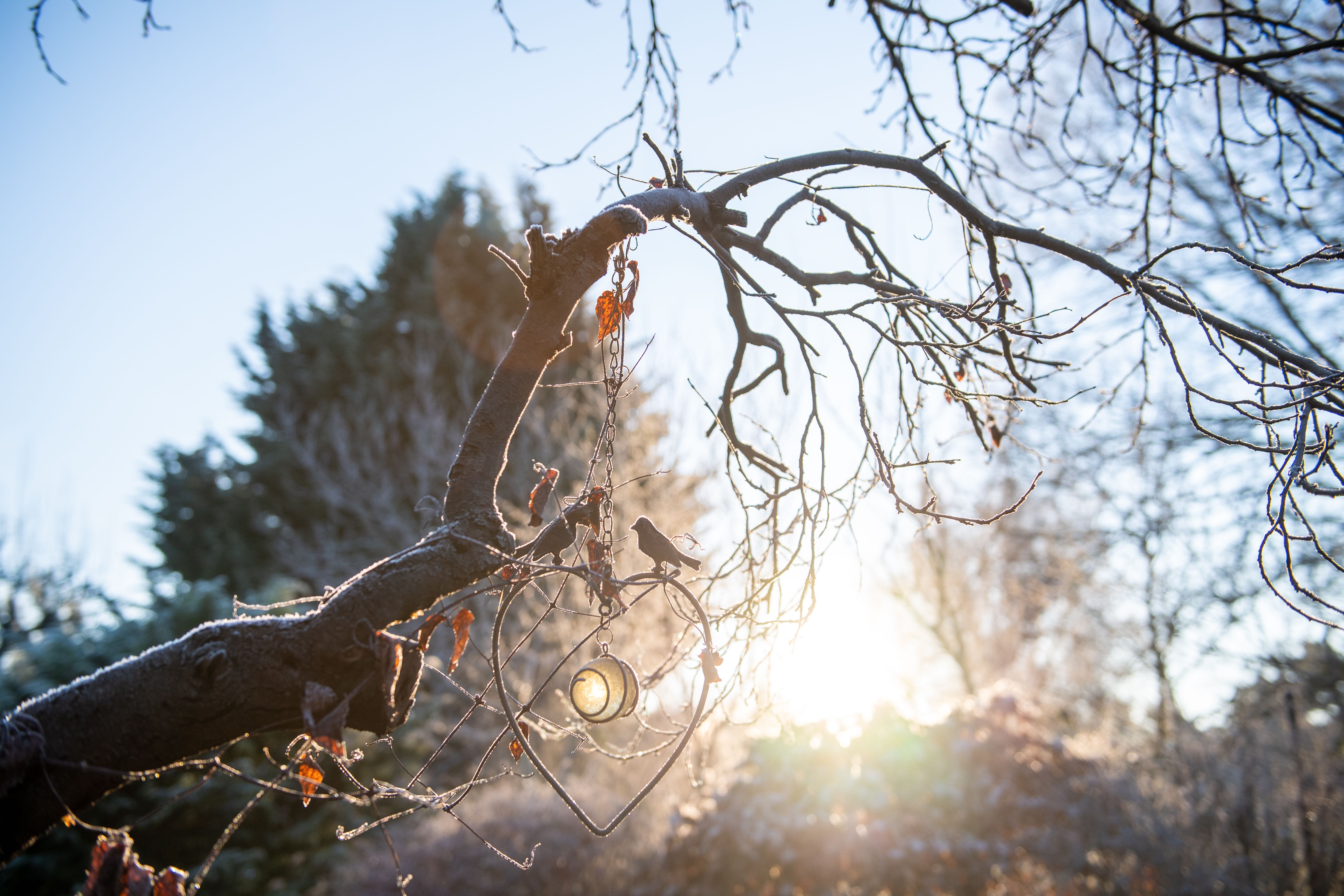Polar-Wetter-Schock: Berlin vor Kälteeinbruch – Wetterexperte erwartet HIER sogar Schnee und Bodenfrost!