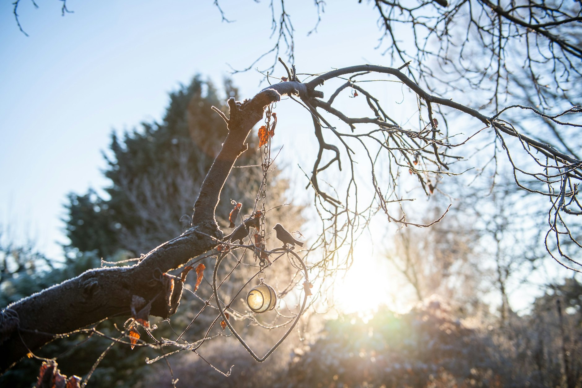 Auch in tieferen Lagen ist Frost nicht ausgeschlossen. Doch nicht alle Regionen sind von dem Kälteeinbruch gleichermaßen betroffen.