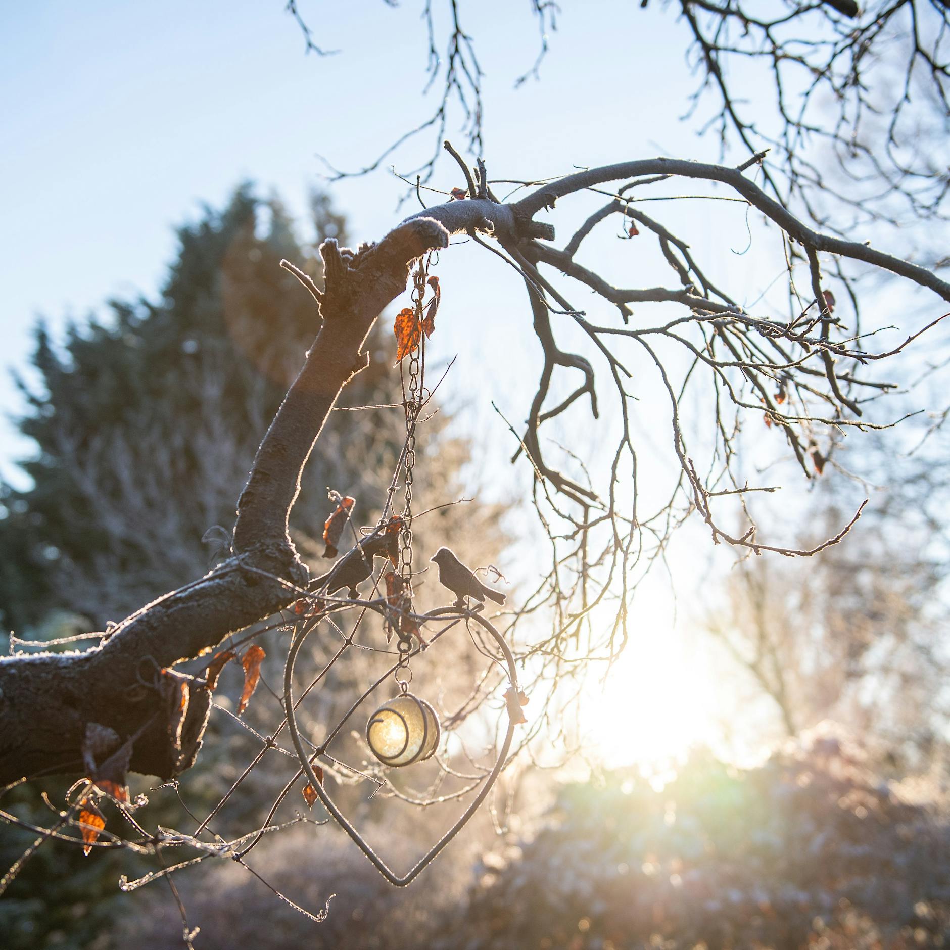 Polar-Wetter-Schock: Berlin vor Kälteeinbruch – Wetterexperte erwartet HIER sogar Schnee und Bodenfrost!