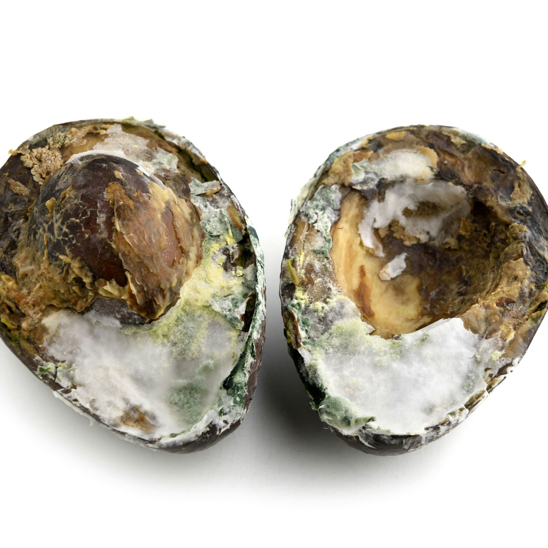 Es ist immer wieder ärgerlich, wenn Avocados nach dem Kauf schnell schlecht werden.