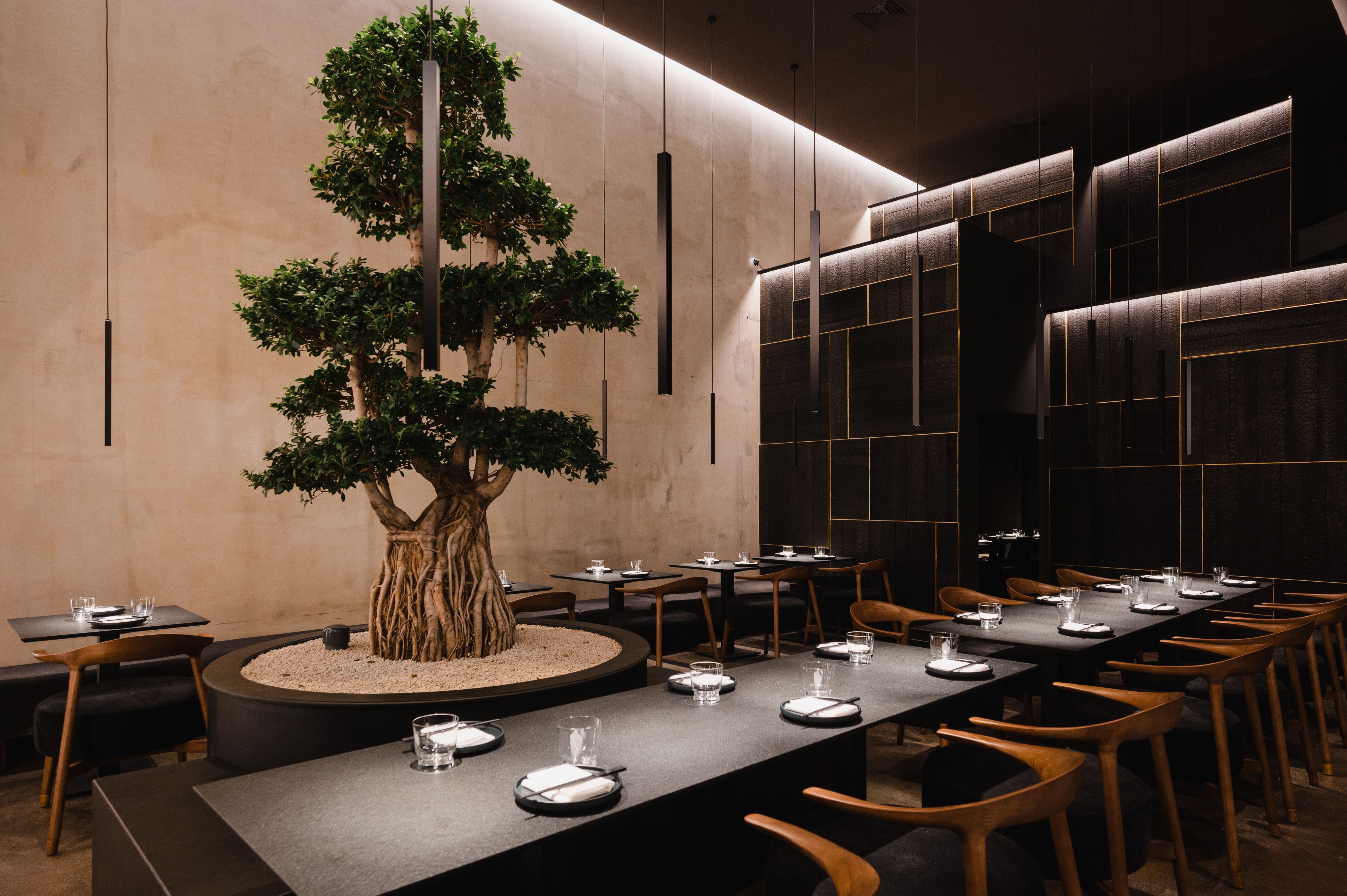 Image - Restaurant Oukan in Berlin-Mitte: Gemütsausgleich mit Pilzen und Tee