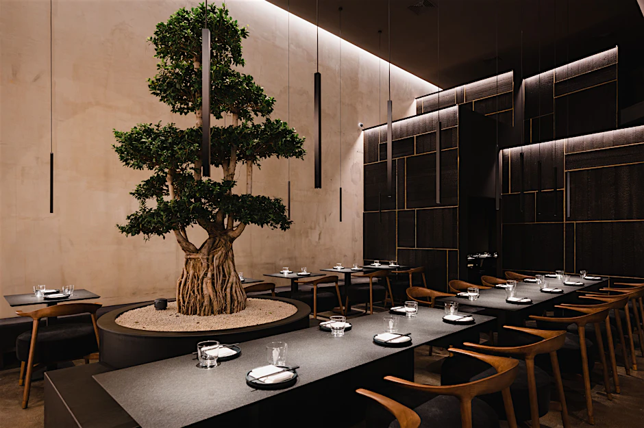 bonsai in london Bonsai Tree | Plant Delivery London main image 1