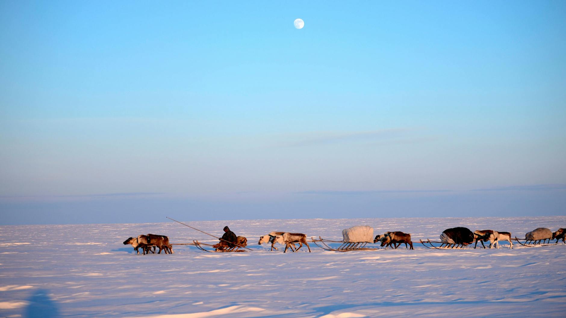 Die sibirische Tundra nahe des Dorfes Jar-Sale in Russland