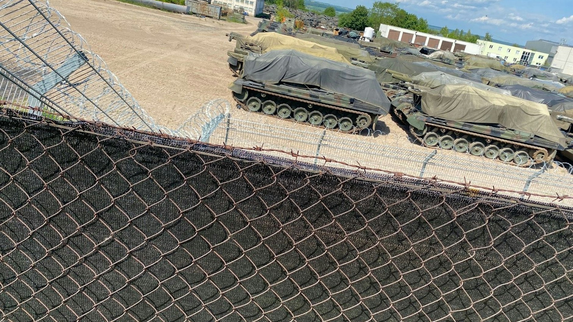 Geparde auf dem Gelände des Panzerfriedhofs in Rockensußra, Thüringen