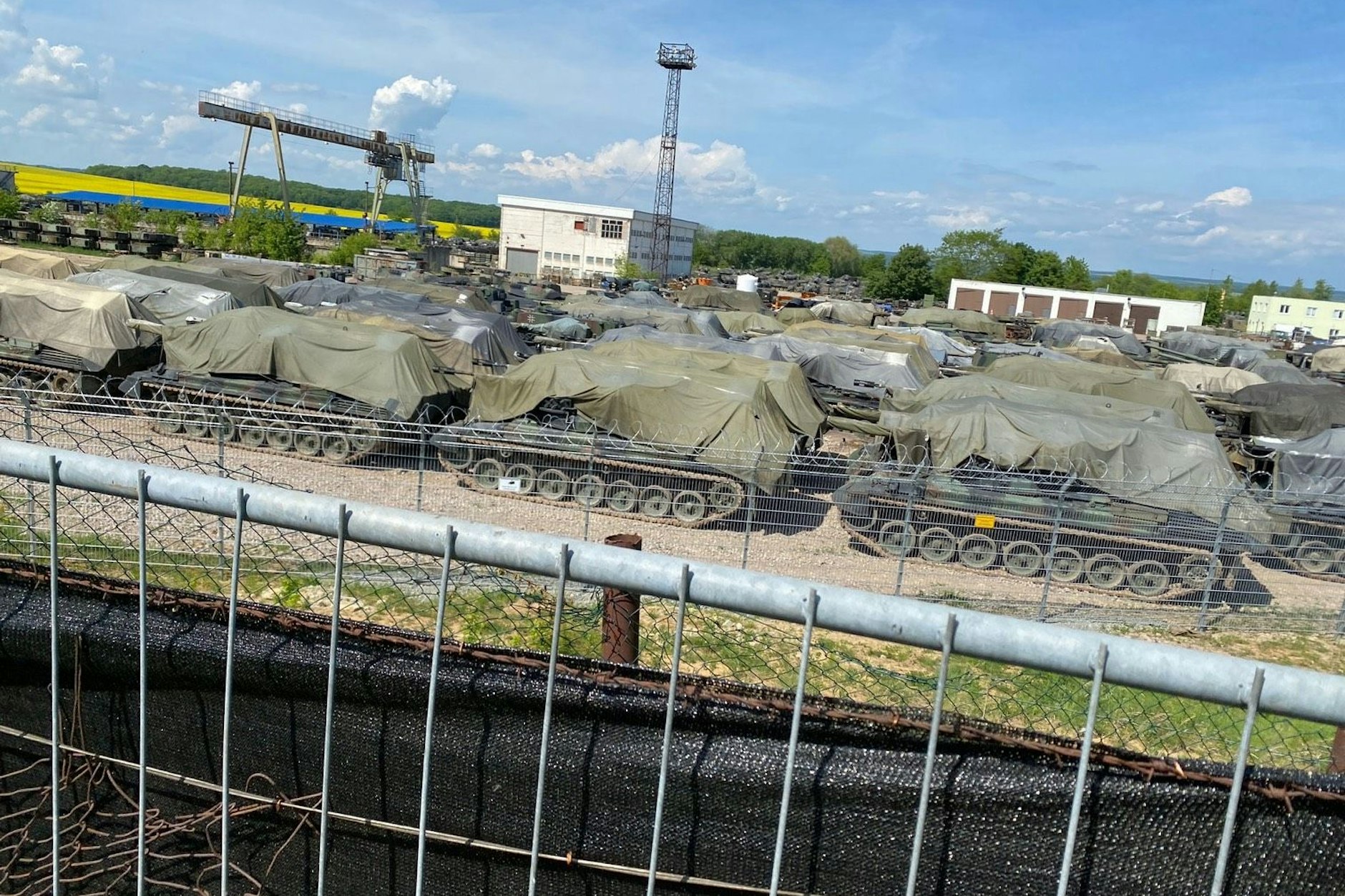 Geparde auf dem Gelände des Panzerfriedhofs in Rockensußra, Thüringen