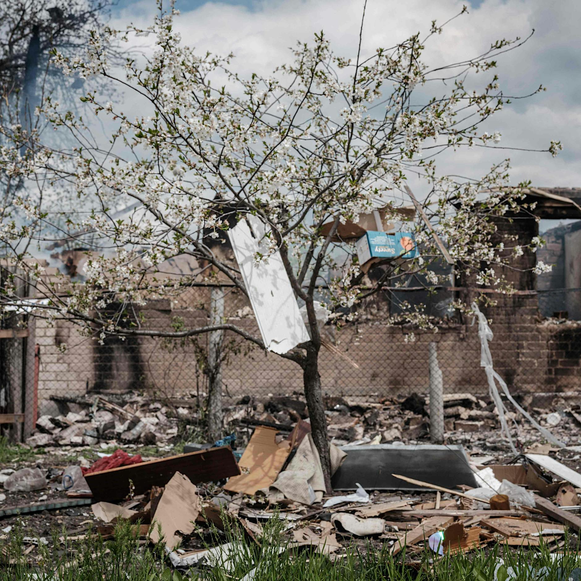 Ukraine: Offenbar Massengrab im befreiten Lyman entdeckt