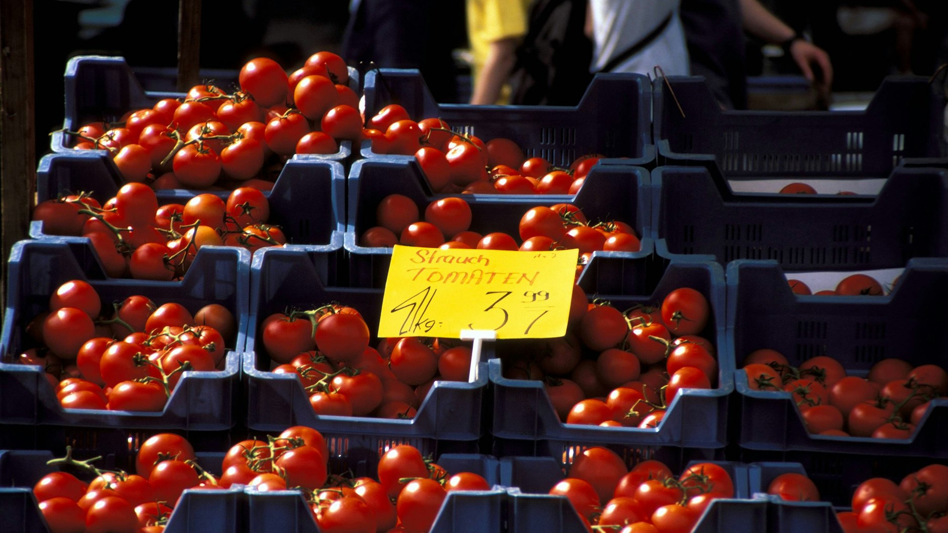 Außen perfekt, innen oft fad: Supermarkttomaten genügen selten einem hohen Qualitätsanspruch.